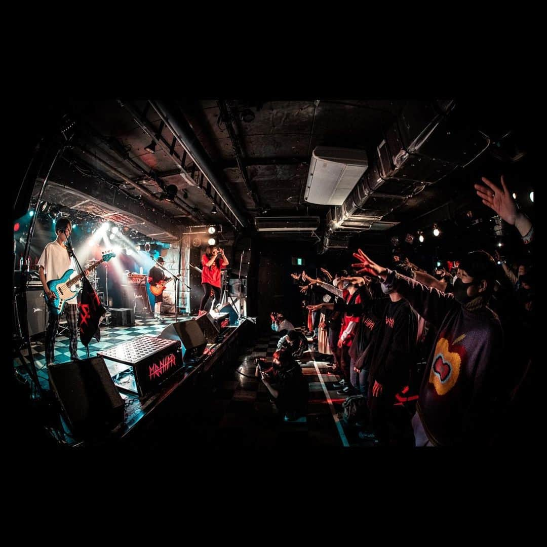 MOSHIMOさんのインスタグラム写真 - (MOSHIMOInstagram)「🎸2020.12.29 TOKYO🎸 THANK YOU!! BARI BARI ROCK 〜やっぱみんなとOUR NIGHT〜 Photo byかわどう @kawado_photo  #MOSHIMO」12月30日 19時47分 - moshimo_band