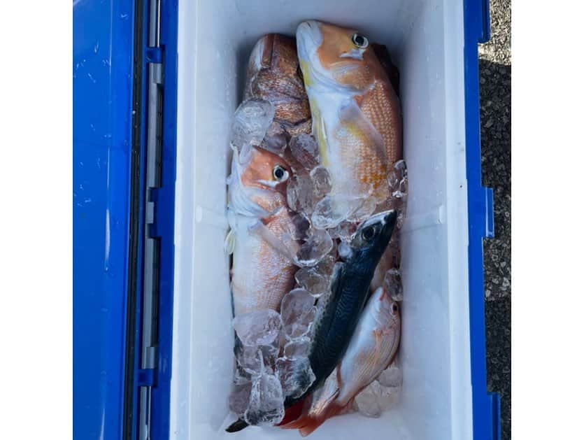 金子翔太さんのインスタグラム写真 - (金子翔太Instagram)「in 沼津 この真鯛は60cmです！ 釣りも楽しいですね！ @tailwalk_japan  @nakachaaan2  #釣り#fish #fishing #テイルウォーク#tailwalk」12月30日 19時51分 - kanekoshota30