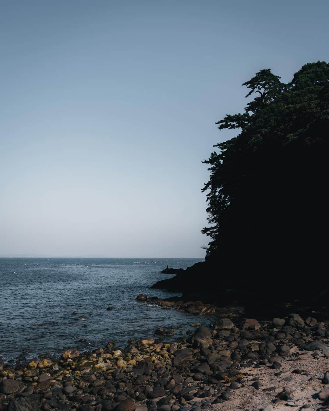 のインスタグラム：「Manazuru Peninsula. . 真鶴半島 せり出した木々と岩の形が好きです。 . . . #visitjapanjp #tokyocameraclub #sorakataphoto #retrip_nippon #art_of_japan_ #daily_photo_jpn #wu_japan #japan_daytime_view #rakutentravel #jalan_travel #lovers_nippon #bestjapanpics  #whim_life #special_spot_ #loves_united_japan #japan_art_photography #Nipponpic #lovers_amazing_group #japantravelphoto #otonatabi_japan #total_nature_japan #photo_travelers #sky #sea #広がり同盟  #東京カメラ部 #真鶴 #海」