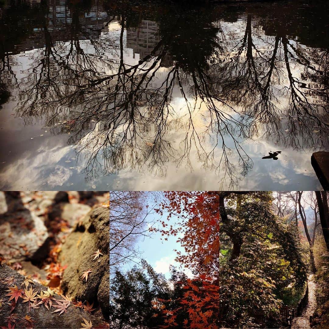 有森裕子さんのインスタグラム写真 - (有森裕子Instagram)「今年最後の散歩風景🚶‍♀️🚶‍♀️🚶‍♀️」12月30日 20時06分 - arimori.yuko33