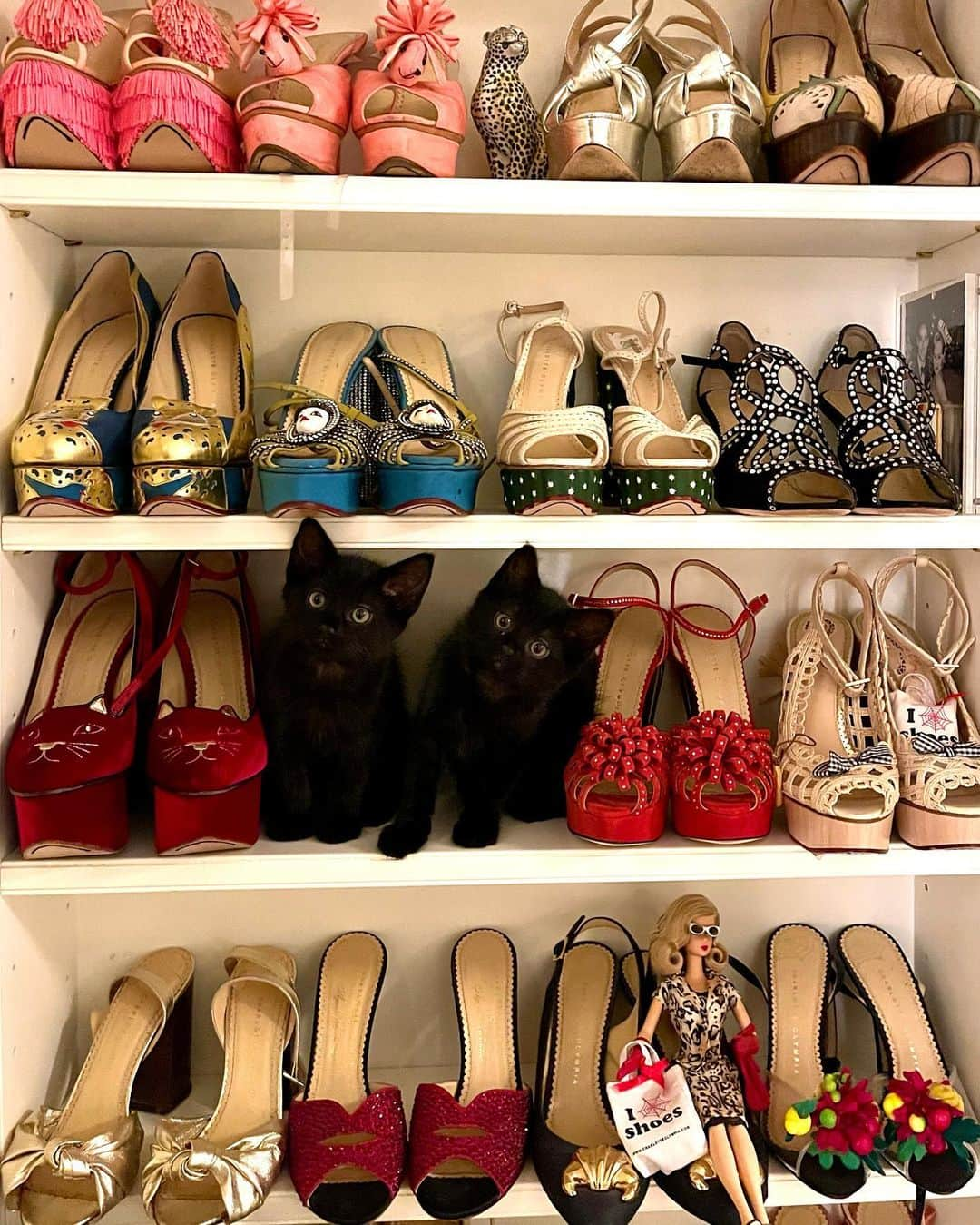 シャーロットオリンピアさんのインスタグラム写真 - (シャーロットオリンピアInstagram)「A pair of #CharlotteOlympia #Kittys 🐈‍⬛🐈‍⬛ 👠👠 #shoes」12月30日 20時06分 - charlotteolympia