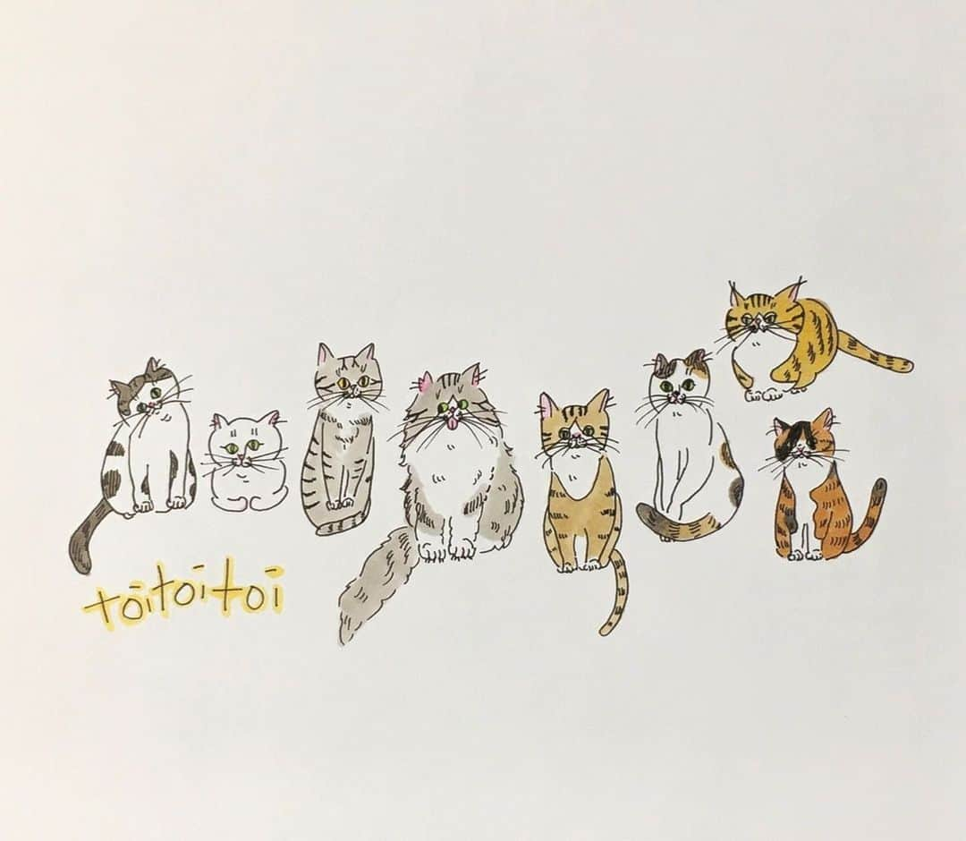 八、おこめさんのインスタグラム写真 - (八、おこめInstagram)「@toitoitoicat よりお知らせです🐾 2020年の開催は、ありがたい事にコロナの影響もさほど受ける事なくたくさんのお客様にご来店頂けました✨ 私達も毎年みなさんにお会いできる事を楽しみにしていました。ですがメンバーと話し合い悩んだ結果、2021年の開催は一旦延期とさせて頂きます。 コロナが終息する事を願って、またみなさんと笑顔でお会いできる日を楽しみにしています😸❣️ ・・・以下 @toitoitoicat より・・・ 【toi toi toi〜きっとうまくいくミニマムプロジェクト〜からの大切なお知らせ】 こんにちは。 2020年も残りわずかになりました。 毎年10月頃から準備に動き出し、作家さんやお店さんに出展の連絡・相談等をさせていただいて、あれよあれよという間に当日がやって来ていました。 2020年の開催もコロナでどうなるか・・・本当にギリギリの時期でした。 皆様のおかげで無事に終了出来たのが10ヶ月前。 まさかコロナがここまで長引くとは思ってもいなかったです。 2021年は節目のvol5という事で、やりたい事はたくさんありました。 が、メンバーと会議の結果「延期」という形をとる事にさせていただきました。 真冬の2月に入場制限をする事の難しさ、消毒、検温などのスタッフが増えると密を避けるためにお客様の入場人数も限られること。 遠くからもわざわざ来て下さる方が多いイベントだということ。 1年ぶりにお会い出来てもゆっくりお話ができないこと・・・ など、お越しくださった皆さんと共に本当に楽しめる場所でありたい。 メンバーにとっても毎回、心からそう思える場所です。 なので今回は違う形でなにか出来ないか(しなければ)という思いがあります。 「できることやってみよう」これが最初に私たちが動いたきっかけの言葉です。 toi toi toi〜きっとうまくいくミニマムプロジェクトvol5〜は延期とさせていただきますが、保護猫たちに必要な物資や医療費は毎日必要です。 お世話になっている作家さんやお店さん、友人に力を借りこんな時だからこそできることを協力いただけると幸いです。 そして保護猫活動を応援してくださる皆様、今後ともtoi toi toi〜きっとうまくいくミニマムプロジェクト〜をよろしくお願いいたします。 長くなりましたが、お読み頂きありがとうございました。 ━━━━━━━━━━━━ 「toi toi toi」はドイツに伝わる幸運のおまじないです。 「きっとうまくいく」「いいことがあるように」そう願って自分たちが出来る最小限(ミニマム)の事からやってみようと2017年に始まったイベントです。 @kenjikond0 さん作曲のかわいくて勇気を貰える大好きな曲です。 ━━━━━━━━━━━━ #cat #catstagram #猫 #ねこ部 #保護猫イベント #toitoitoicat #保護猫 #teamねこのて #toitoitoiきっとうまくいくミニマムプロジェクト #トイトイトイキャット #トイトイトイキャット5 #伊丹 #こまひとみ #八おこめ」12月30日 20時25分 - naomiuno