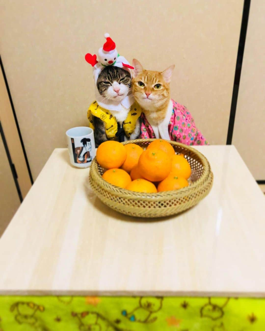 マロさんのインスタグラム写真 - (マロInstagram)「🍊コタツとみかん🍊　Swipe▶️ ✴︎ 今年1年お世話になりました🙇‍♀️ 寒波で寒い年越しになりそうですので、暖かくしてお過ごしください🍀 良いお年を✨ ✴︎ Thank you for supporting us this year. Stay warm ＆ Stay healty. Best wishes in the new year！ ✴︎ #cat#cats#catsofinstagram#😻 #japaneseculture#winter#orange  #にゃんすたぐらむ#ねこ#猫#ねこ部 #こたつ#みかん#こたつとみかん #こたつとみかんと猫#良いお年を  #コロナに負けるな#斉藤和義」12月30日 20時21分 - rinne172