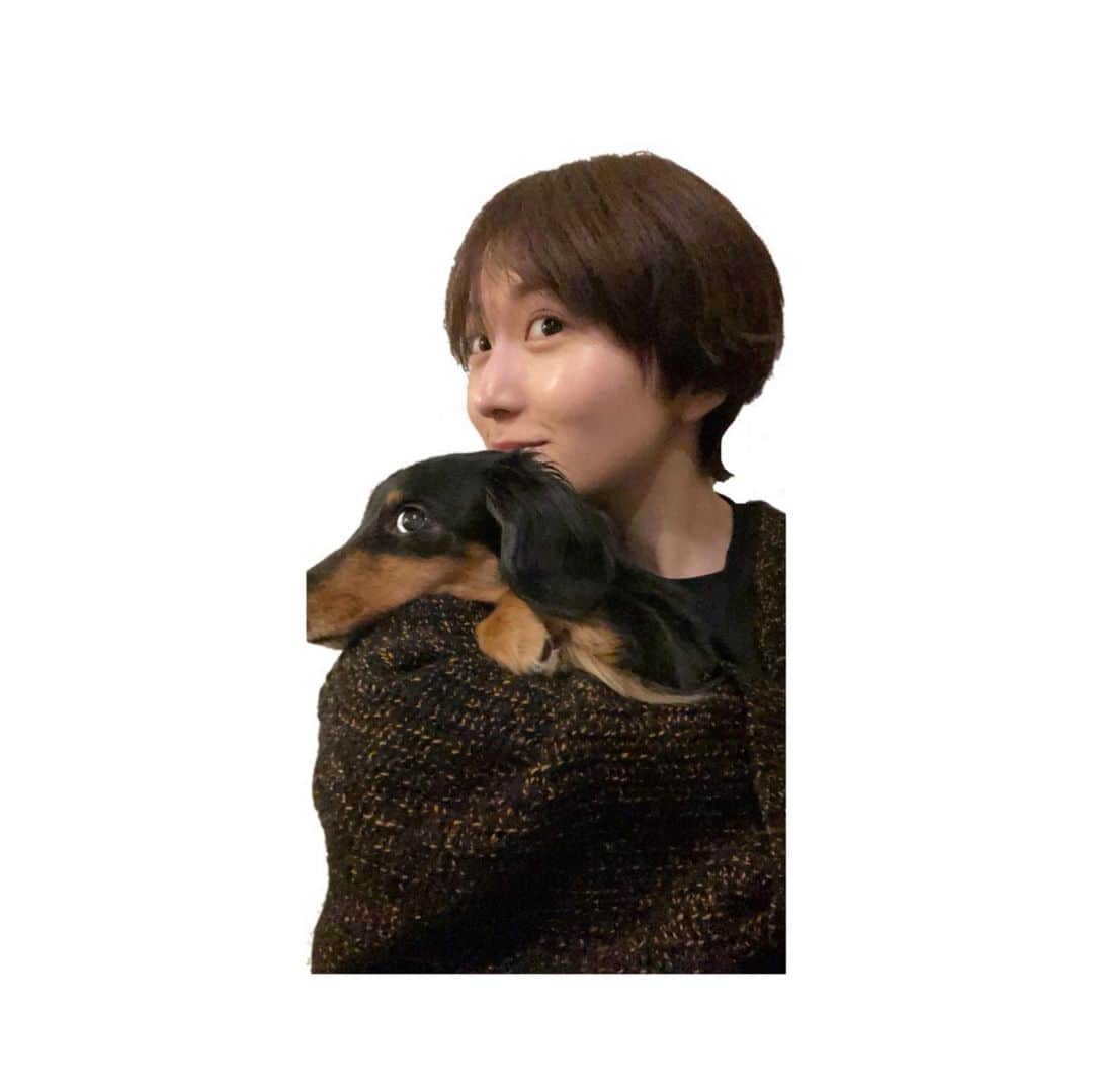 大島涼花のインスタグラム：「🐶 こちら、ココちゃん 真似っこしてみた  #iPhone12 #画質素晴らしい」