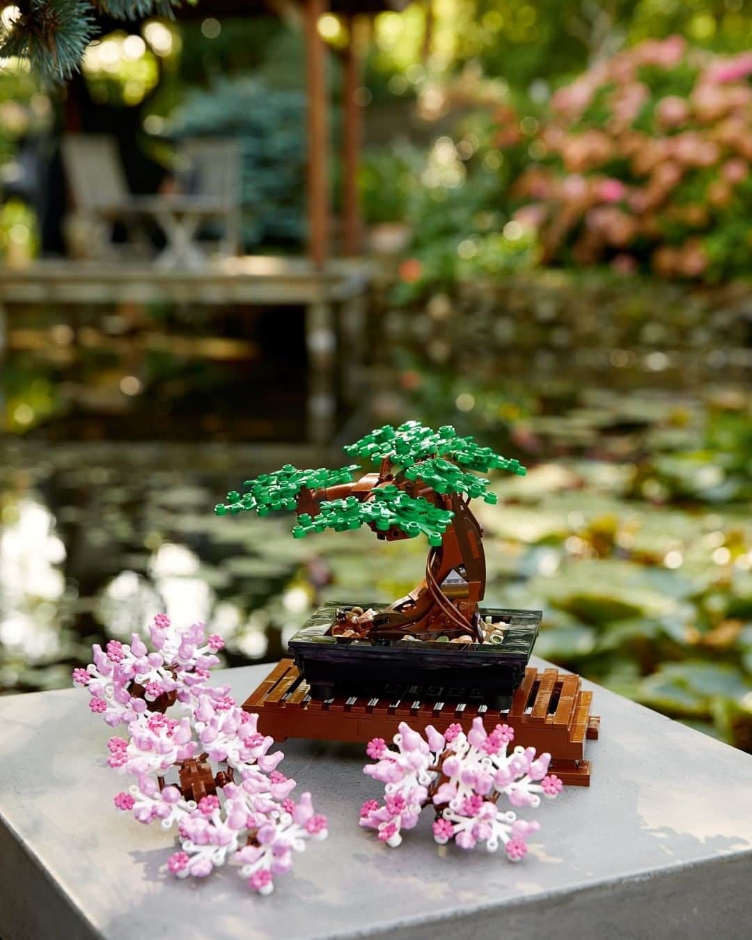 LEGOさんのインスタグラム写真 - (LEGOInstagram)「Start your own tiny garden with the LEGO Botanical Collection Bonsai Tree 🌸 Available from January 1!   #LEGO #BonsaiTree #Botanical」12月30日 21時00分 - lego