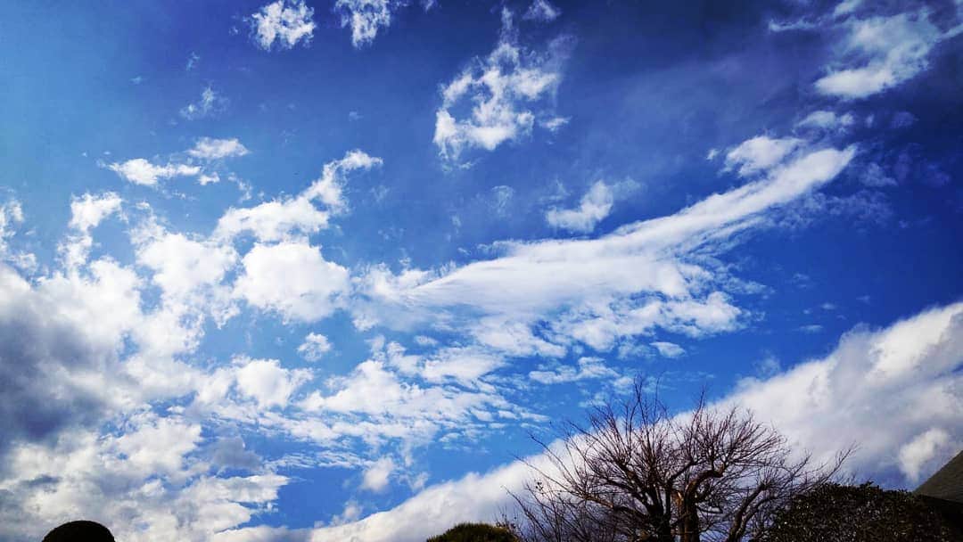 のインスタグラム：「祖父母、叔母、両親の眠るお墓に 今年もありがとうの挨拶を。  いつも見守ってくれてありがとう🌸  御住職にもご挨拶しに伺ったら お話が止まらなくて20分くらい2人で話してました(笑)  お天気にも恵まれてよかったー！   #年末」