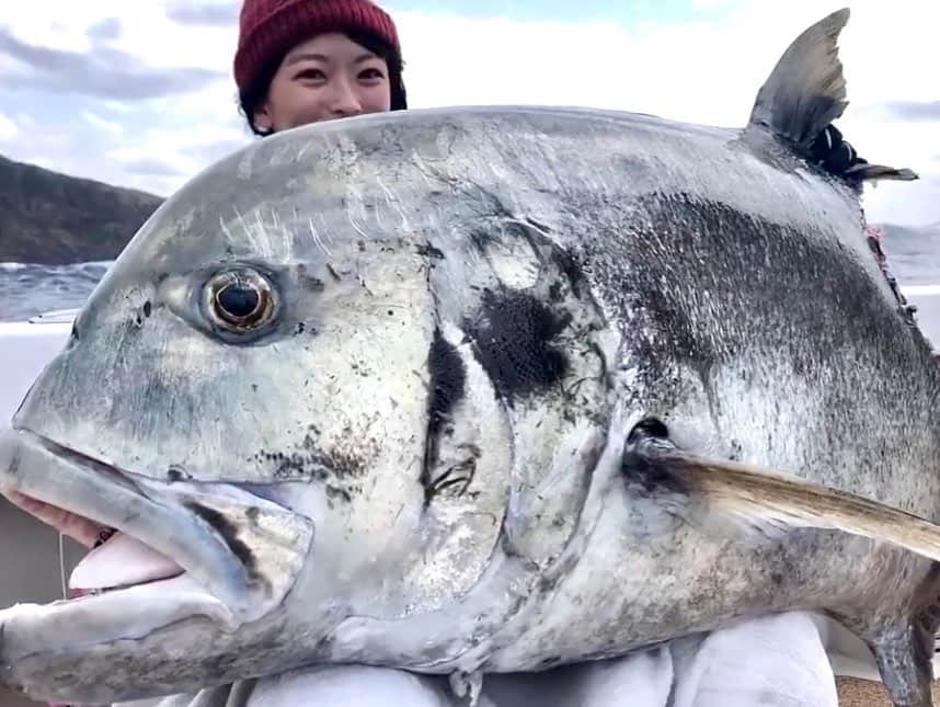 高本采実さんのインスタグラム写真 - (高本采実Instagram)「🎣 ~2020年釣り振り返り~  元々予定していた海外遠征は全て中止となり 国内もなかなか思うように移動ができませんでしたが そんな中でも万全な健康状態・対策でなんとか行けた貴重な釣行◎ また近くで釣りをすることがぐんと増えた１年でした☺︎  今年こそは‼️ とずっと目標にしていた 「国内GT・カジキを釣る」 ということがどちらも見事達成できたのは なによりも本当に嬉しい出来事でした🥺🎣🤍  サメGT🦈からはじまり悔しい思いをしていた分、ほんまに嬉しかったー🥺✨ カジキは今まで釣って実際に見た魚の中で 圧倒的にでかくて興奮がおさまりませんでした🥺✨  釣らせてくださった船長・仲間・海と魚に本当に感謝です‼️🥲✨  大物を釣る為にずっと筋トレをしていて 家にいる時間が増えたからこそ おうちでもできる釣り筋メニューを教えてくださった   @vady_shinsaibashi のスタッフさん方にも感謝です💪🏻🙏🏻✨  また今年は実釣会も色んな船で行わせて頂きました。 釣りをすること自体が初めての方 もっとスキルアップしたい方 初めてのエリアでチャレンジしてみたかった方等 本当に多くの方にご参加頂き 私自身もとっても素敵な時間を過ごさせて頂きました。 参加者の皆様、船長さん、ありがとうございます✨ ⛴ @seiryomaru.nushima / @eishinmaru1392 / @chouta_fishing_boat   ルアルアチャンネル  @lurelurech のロケでは 取材日の海や魚の状況が厳しいタイミングが多かったですが そんな中でも釣らせようとアドバイスをくださった 船長、プロの方々、ディレクターのおかげで 釣ることができたり、 釣れなくても次に活かせるスキルが習得できたりと、 厳しい状況だったからこそ 本当に勉強になった１年でした。  そしてイメージガールをさせて頂いている つり具のブンブン🐟 初めて使う釣り道具で釣りをする機会も多くあり、 釣具の使用感の違いを実感できたり より状況に合った道具は何かを自ら思考を巡らし選択する環境があり 釣りの楽しさ・奥深さをより実感できた年となりました。  長〜くなりましたが、 釣りをすればするほど考えることが増え 難しくて、奥深くて、 だから釣れたらより一層嬉しくて楽しくて‼️  なんの知識もなく釣りをし始めた6,７年前の自分からは 想像もできないほど魚や釣りの世界にハマっていますし 釣りが好きで良かったな〜と思うばかりです🥳🎣✨  来年も、人はもちろん、海や魚、自然に癒され感謝しながら またすごい大物に出会える年にしていきたいと思います☺︎🎣❤︎ . . . . . #GT #ロウニンアジ #ジャイアントトレバリー #gianttrevally  #gtfishing  #キャスティング #casting #カジキ #シロカジキ #キハダ #マダイ #アオリイカ #メジロ #ヒラスズキ #大物 #大物釣り #魚好き #釣り #釣果 #釣り好き #釣りガール #大物ハンター #ルアルアチャンネル  #ブンブンイメージガール #アングラー #fishinggirl #钓鱼 #高本采実 #あやみん #ayamistagram」12月30日 12時26分 - ayami__summer