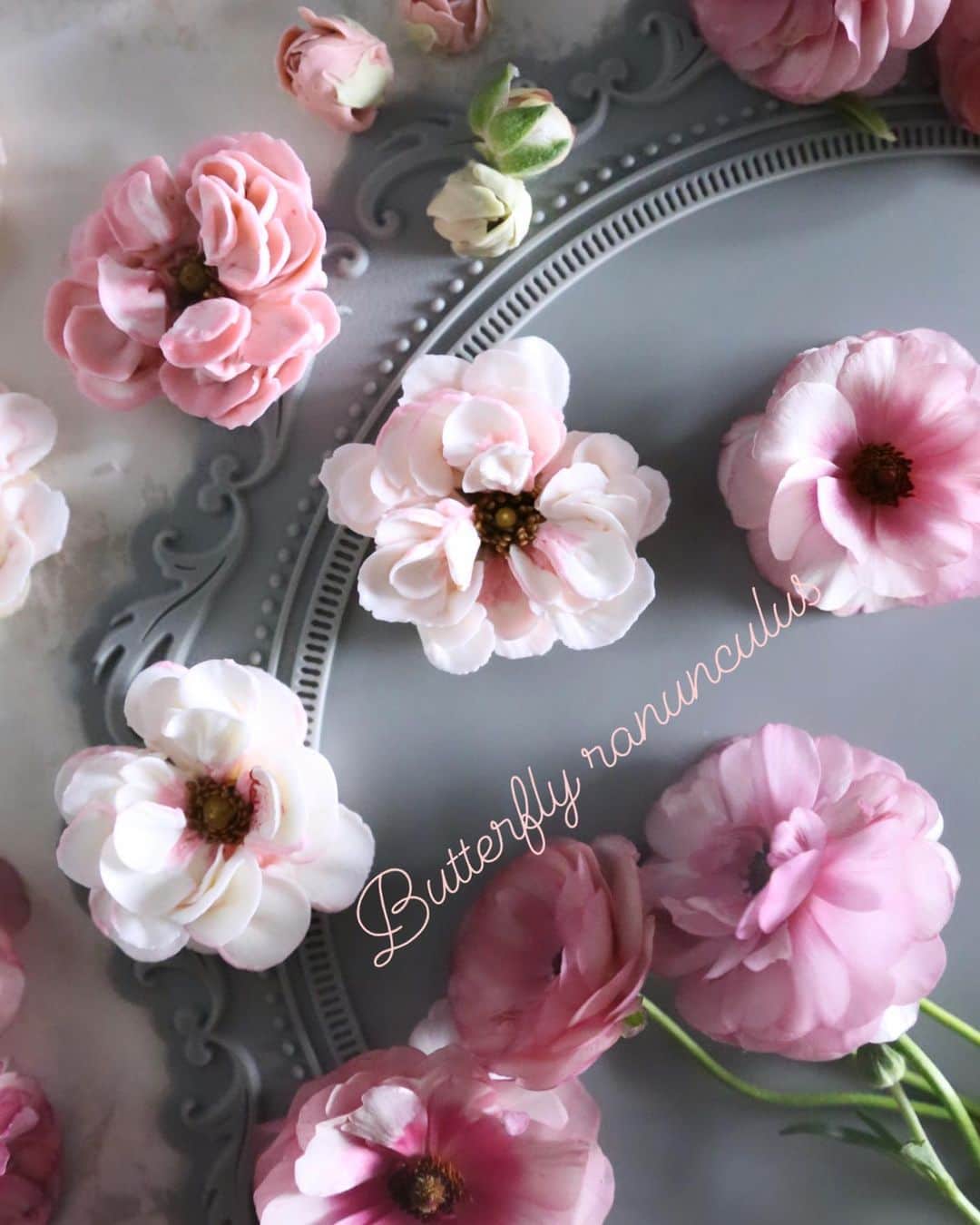 청담 수케이크 (atelier soo)さんのインスタグラム写真 - (청담 수케이크 (atelier soo)Instagram)「ㅡ Buttercream flower.  Soocake style. Butterfly Ranunculus.  ㅡ 처음보는꽃집언니가나와닮은것같다며추천해주신꽃 안데려올수없었네🌸여자마음잘아시는사장님 ㅡ #flower #cake #flowercake #partycake #birthday #bouquet #buttercream #baking #wilton #weddingcake #wedding ㅡ www.soocake.com vkscl_energy@naver.com」12月30日 12時38分 - soocake_ully