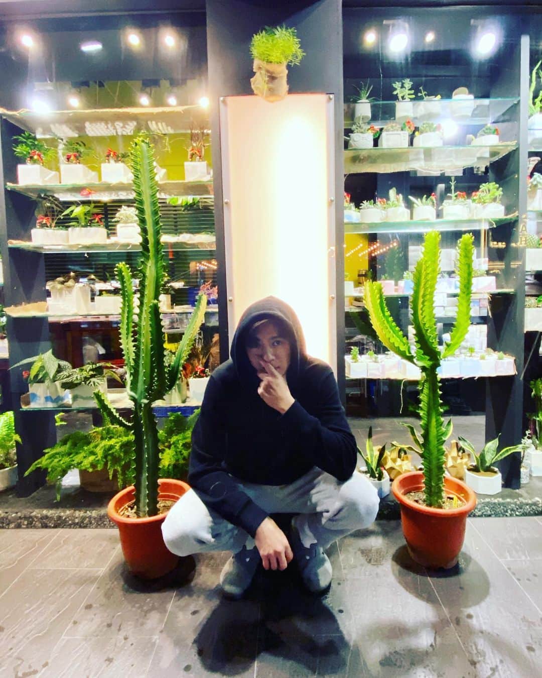 Lego Liのインスタグラム：「植物獵人🌵 @succutotherapy」