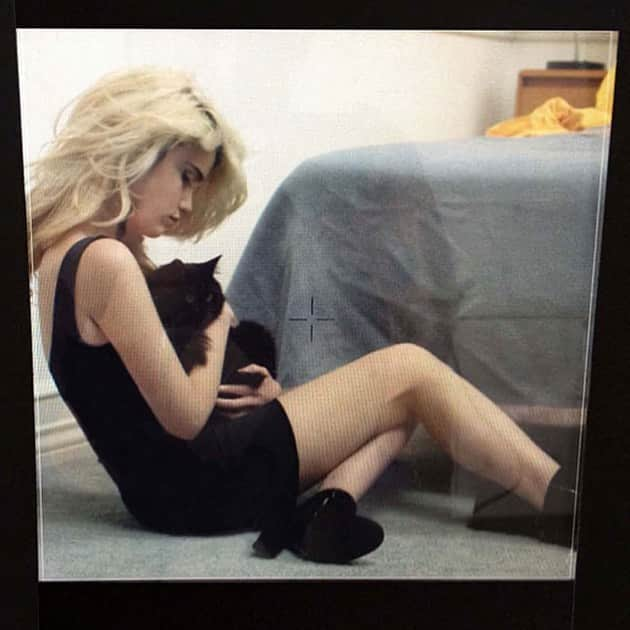 スカイ・フェレイラさんのインスタグラム写真 - (スカイ・フェレイラInstagram)「Pyewacket 🐈‍⬛🔮」12月30日 12時45分 - skyferreira