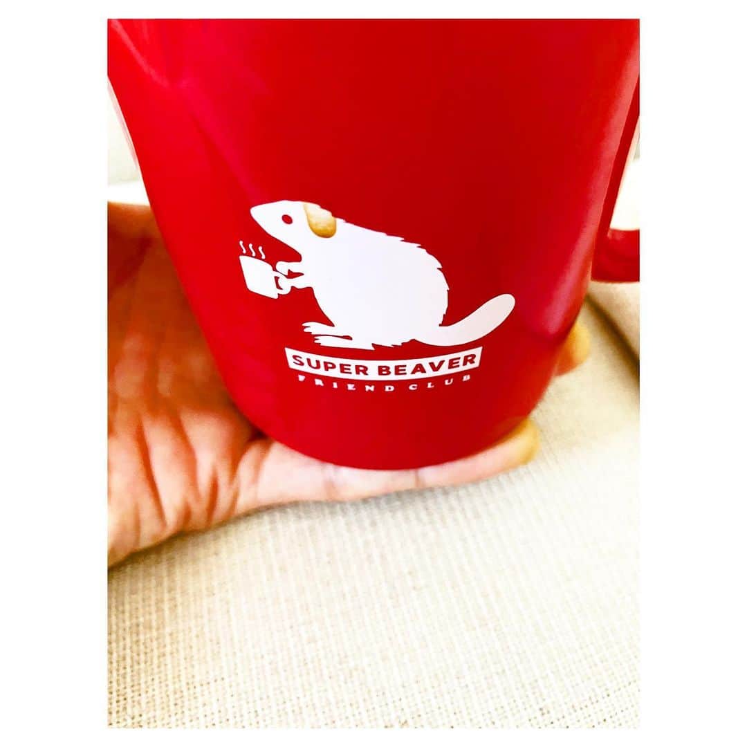 のインスタグラム：「犬になったビーバー。」