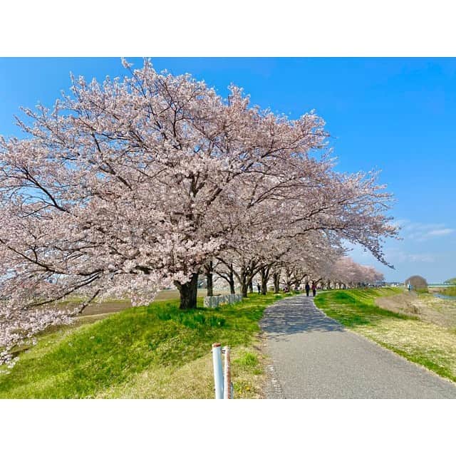 池江璃花子のインスタグラム