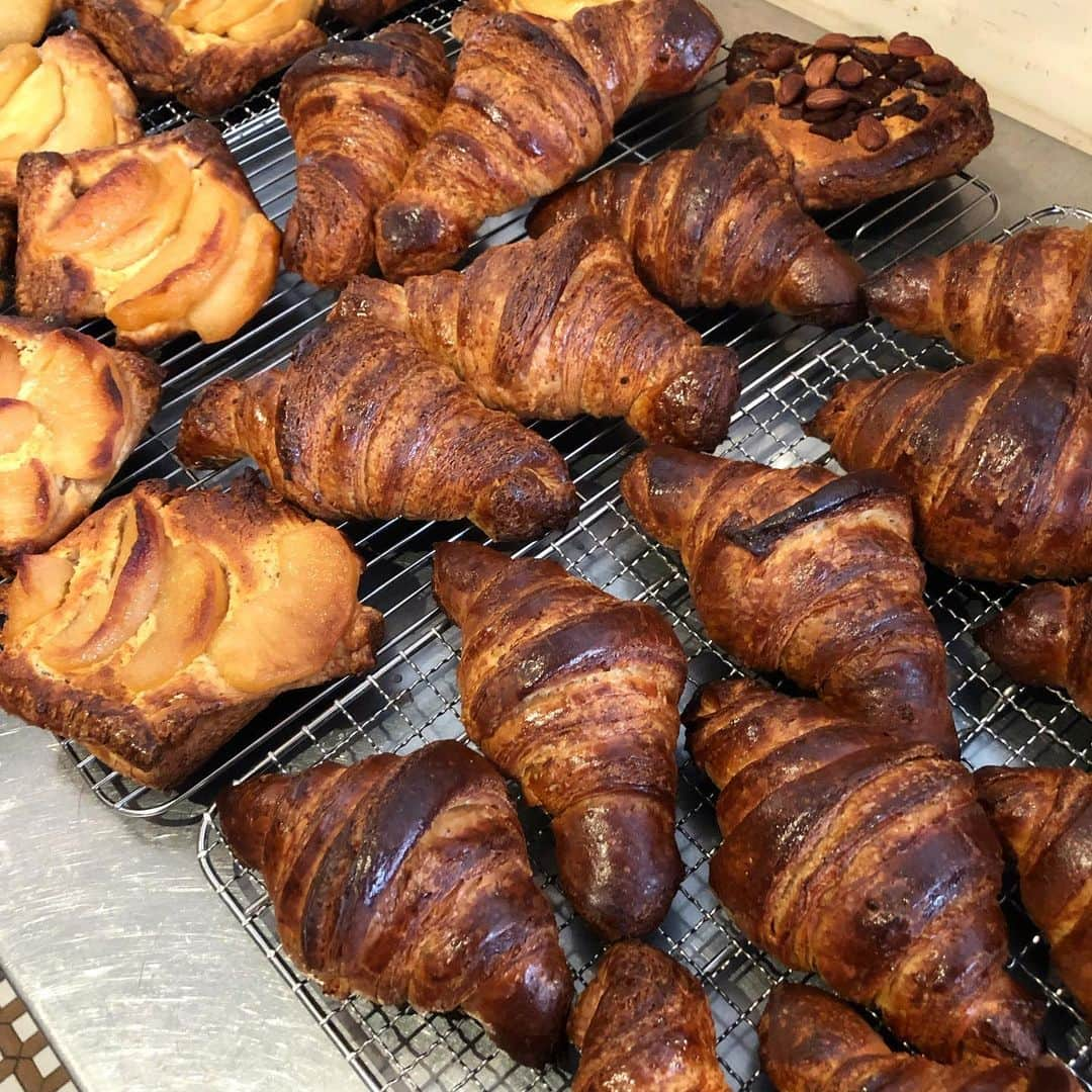 CHIPPRUSONのインスタグラム：「長期熟成クロワッサン🥐  クロワッサンにおいては、長期熟成生地がいいのかどうか… そもそもクロワッサン生地は加水が低い。しっとりさせたらパイじゃなくて、パンのようになってしまうな…  これは、スペルト小麦、煉瓦で作った。あ、少しキタノカオリも入れたかな…   伸ばす作業で腕と肩が辛くて、体に悪いのであんまり作らなかったんだけれど、今回も盛大に痺れてしまい、きつかった… クロワッサンやるには、もう少し首の状態から治さないと折り込み作業で痛めてしまう。  パンを焼きながら健康になること。来年も継続して、健康第一で仕事しよう。クロワッサンは、まだまだ改善の余地あり。」