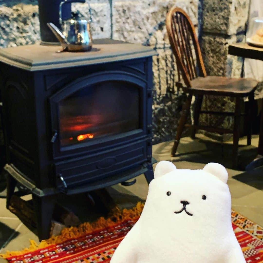 のインスタグラム：「フィルたんだよ〜💬 . 寒くなってきて、年末感が出てきたねぇ。 みんなもあったかくしてね☺️ ぼくは暖炉の前でぬくぬくだよー😚 . #フィルたん　#暖炉　#年末」