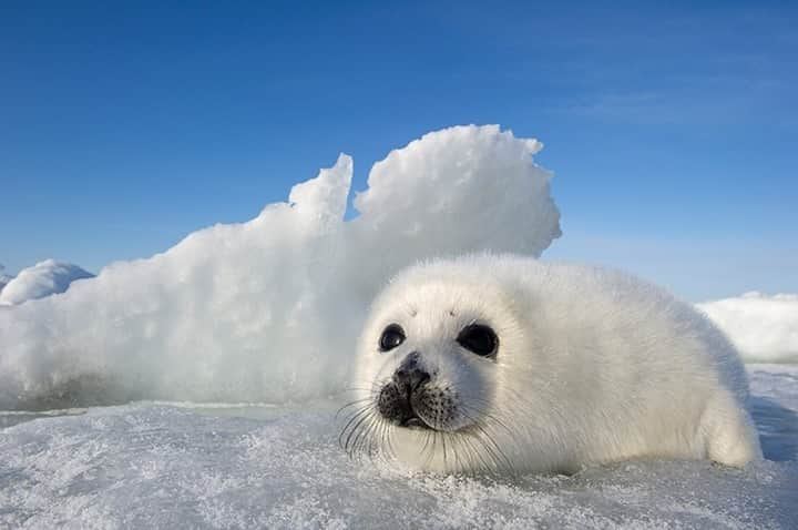 National Geographic Travelのインスタグラム