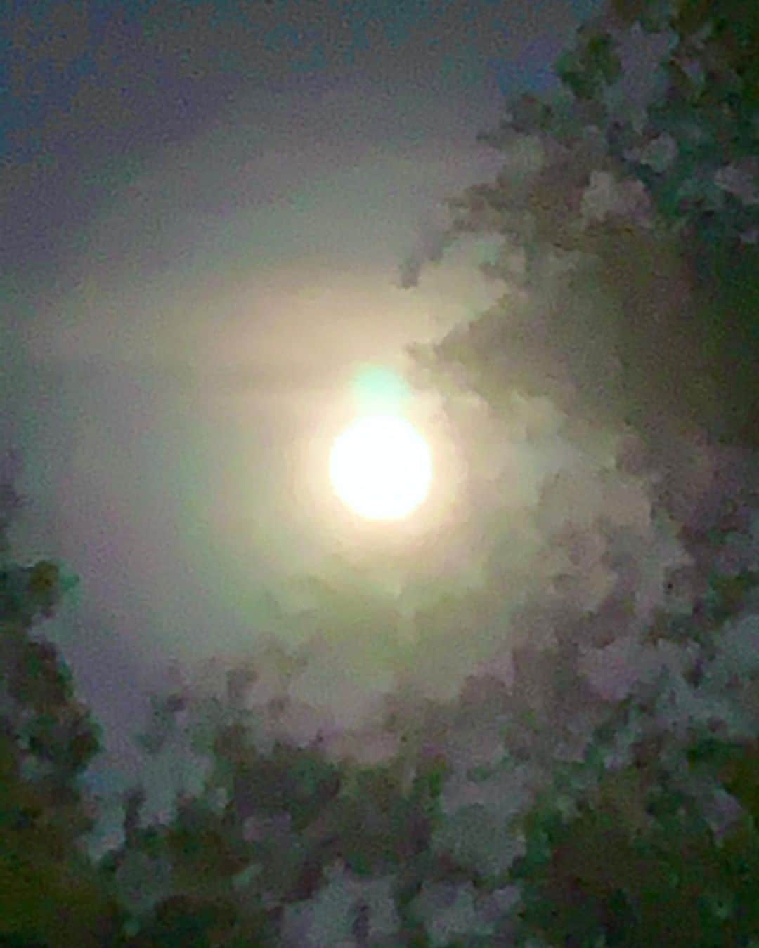 Kara Yoshimoto Buaさんのインスタグラム写真 - (Kara Yoshimoto BuaInstagram)「#fullmoonrainbowhalo  Full Moon in Cancer (also called the “Cold Moon”) is Tuesday, December 29 at 8:28PM MST. This is an important moon for honoring change and bringing in inspiration, creativity and excitement. Your needs versus your desires should be examined and your definition of true home explored. There is a sense of adventure and a restlessness in the air. Creative energy needs a focus and freedom needs an expression. Where, how and with whom can you be creative? Where and how can you express your freedom?  This is a good time to create your intentions for 2021 if you have not already done so. And, if there is any lingering debris from 2020 that needs release, this would be a really good time for that completion. Breaking an old habit is greatly supported during this full moon and a commitment for an inner shift of attitude and belief systems can be deeply anchored. You can have a sudden change of heart about an old attachment, making way for the possible healing of an old wound. Use this full moon as an extension of the powerful Solstice to solidify your intentions with that higher vibration of spiritual inspiration and creativity. #thepowerpath.com」12月30日 17時11分 - karayoshimotobua