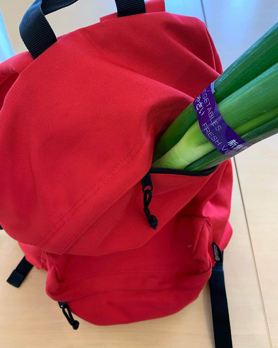 のインスタグラム：「朝方の雨もあがり、買い出し勇者きべ🤓🛡⚔﻿ ﻿ ﻿ ﻿ ﻿ ﻿ #買い物　#スーパーマーケット #長ネギ　#リュック#ネギの刀 #勇者気分　#朝は雨でした　#12月　 #groceryshopping #japaneseleek ﻿ #backpack #december #dec2020 ﻿ ﻿ ﻿ ﻿ ﻿」