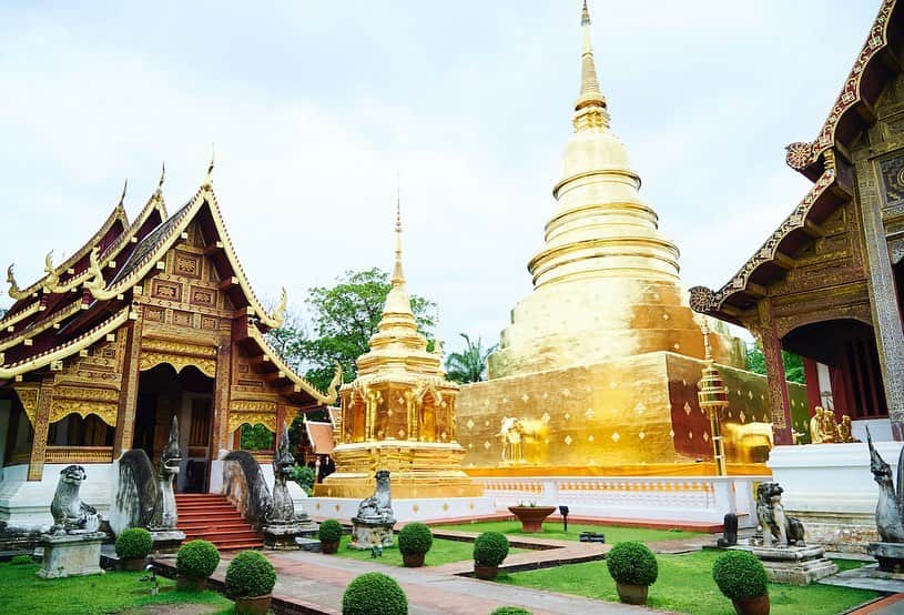 タイ国政府観光庁さんのインスタグラム写真 - (タイ国政府観光庁Instagram)「・﻿ ／⠀﻿ 2021年はタイに行こう！🇹🇭✨⠀﻿ ＼⠀﻿ ﻿ 今年も残すところ、あと2日✌️2020年は残念ながらなかなか海外旅行に行けない年となりましたが、来年こそはタイへ旅行に行きたいですね✈️‼️﻿ ﻿ 日本のおよそ1.4倍の国土を持つタイは、５つのエリアに分かれており、それぞれ魅力がいっぱいです👀✨﻿ ﻿ 🔴中央部はご存知、首都バンコクのあるエリア。王宮やワット・ポーといった定番観光地があるほか、チャオプラヤー川沿いにはリゾートホテルも🏨またアユタヤ王朝の遺跡群が残るアユタヤも、ここに属します🏛﻿ ﻿ 🔵古都チェンマイがある北部は、山岳地帯を有するエリア🗻他のエリアよりも比較的涼しく、マウンテンリゾートが増える近年注目のエリアです👏💗﻿ ﻿ 🔴最も広大なエリア・イサーン(東北)地方は、古代の農耕文明やクメール王朝時代の歴史を残しつつ、隣国ラオスやカンボジアの影響も受ける場所。ソムタムやガイヤーンといったイサーン料理も人気です😋﻿ ﻿ 🔵タイを代表するリゾート地・パタヤがある東部は、タイ湾と手つかずの自然に抱かれたエリア🏝🐚海も山も、どちらも捨て難い人におすすめ💁﻿ ﻿ 🔴マレー半島に位置する南部は、西にアンダマン海と東はタイ湾に囲まれ、多数のビーチリゾートが点在🏖👙プーケットを筆頭に南国情緒満点で、ダイビングやアイランドホッピングなどマリンアクティビティを楽しめます🤿﻿ ﻿ #タイ #バンコク  #チェンマイ  #プーケット #マウンテンリゾート ＃ビーチリゾート  #海外リゾート #こんなタイ知らなかった #もっと知りタイ #はじめてのタイ #タイに行きタイ #タイ旅行 #旅好きな人と繋がりたい #旅行好きな人と繋がりたい #海外旅行 #thailand #bangkok  #chiangmai  #phuket  #thairesort #thaibeach #instabeach #amazingthailand #thailandtravel #thailandtrip #thai  #thaistagram  #lovethailand﻿」12月30日 17時26分 - amazingthailandjp