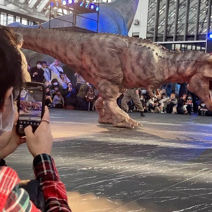 DJ Yummyのインスタグラム：「最終日やっっっと行けました👍 子供に容赦無し🦖ディノアライブ凄い。 #dinoalive #恐竜 #onart」