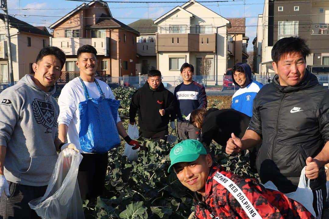 村田毅さんのインスタグラム写真 - (村田毅Instagram)「2020年最後の練習の後は、チームメイトと地元の農家さんの畑で収穫のお手伝いをしてきました🥬 . 無農薬で美味しい日野産野菜の魅力をたくさんの人に知ってもらいたいです🥦 . コロナが落ち着いた時にはファンの方々と一緒にやりたいなぁ🫑 . #日野レッドドルフィンズ #農業部 #白菜 #ブロッコリー #スティックセニョール #小松菜 #水菜」12月30日 17時45分 - tsuyoshimurata1215