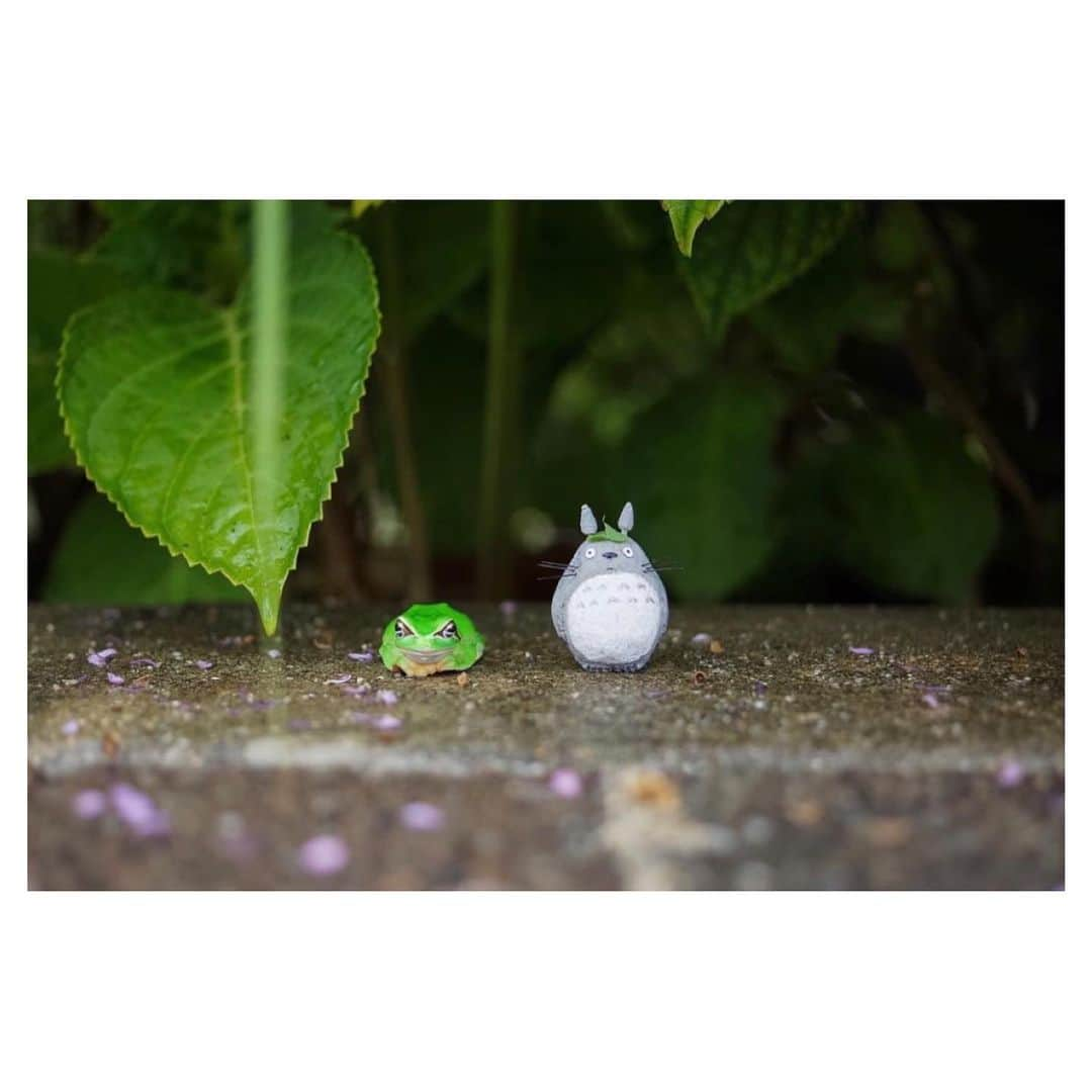 nqouさんのインスタグラム写真 - (nqouInstagram)「#となりのトトロ #トトロ #totoro #ジブリ #ghibli #ネコバス #nqouminiature #総集編」12月30日 18時09分 - nqou