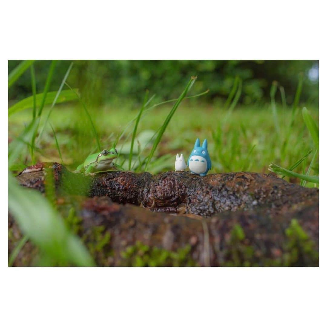 nqouさんのインスタグラム写真 - (nqouInstagram)「#となりのトトロ #トトロ #totoro #ジブリ #ghibli #ネコバス #nqouminiature #総集編」12月30日 18時09分 - nqou