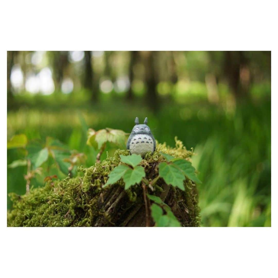 nqouさんのインスタグラム写真 - (nqouInstagram)「#となりのトトロ #トトロ #totoro #ジブリ #ghibli #ネコバス #nqouminiature #総集編」12月30日 18時09分 - nqou