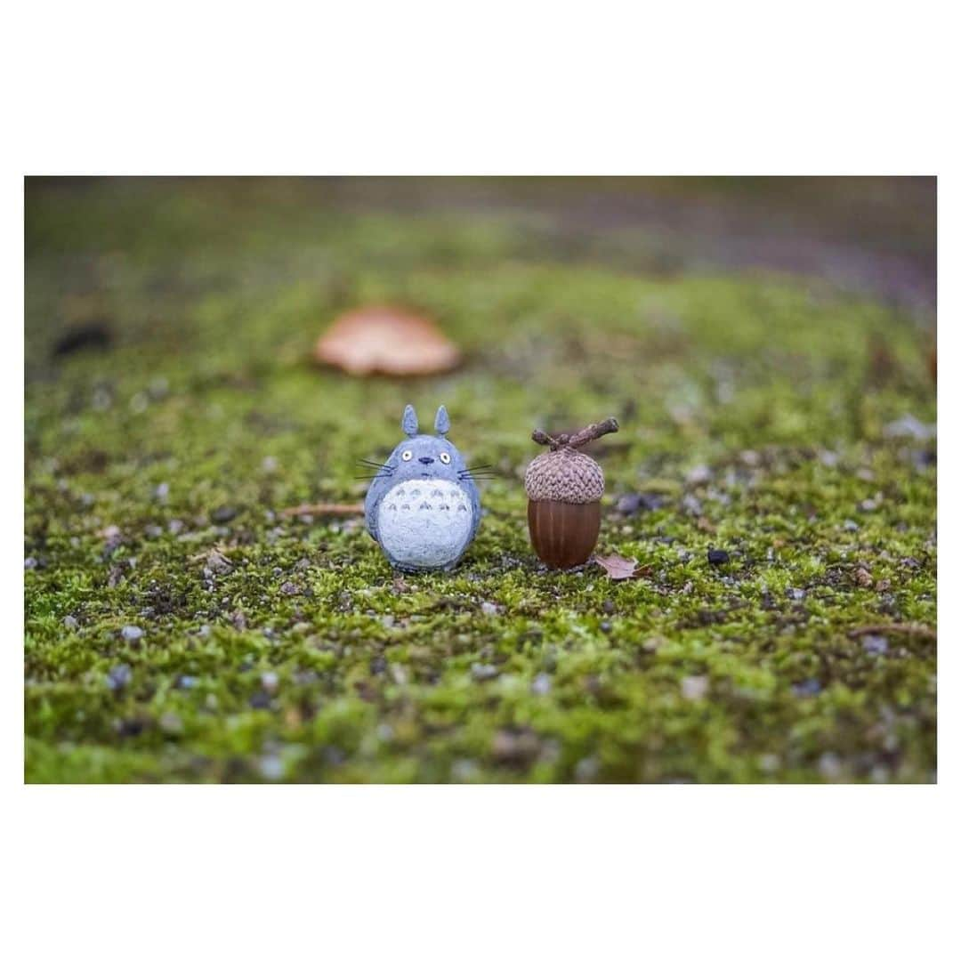 nqouさんのインスタグラム写真 - (nqouInstagram)「#となりのトトロ #トトロ #totoro #ジブリ #ghibli #ネコバス #nqouminiature #総集編」12月30日 18時09分 - nqou