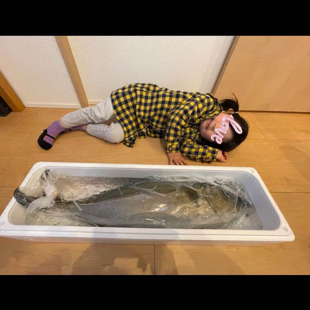 岩橋良昌さんのインスタグラム写真 - (岩橋良昌Instagram)「すごい魚届いた これをさばく嫁はんもすご」12月30日 18時29分 - maeeeeen1084