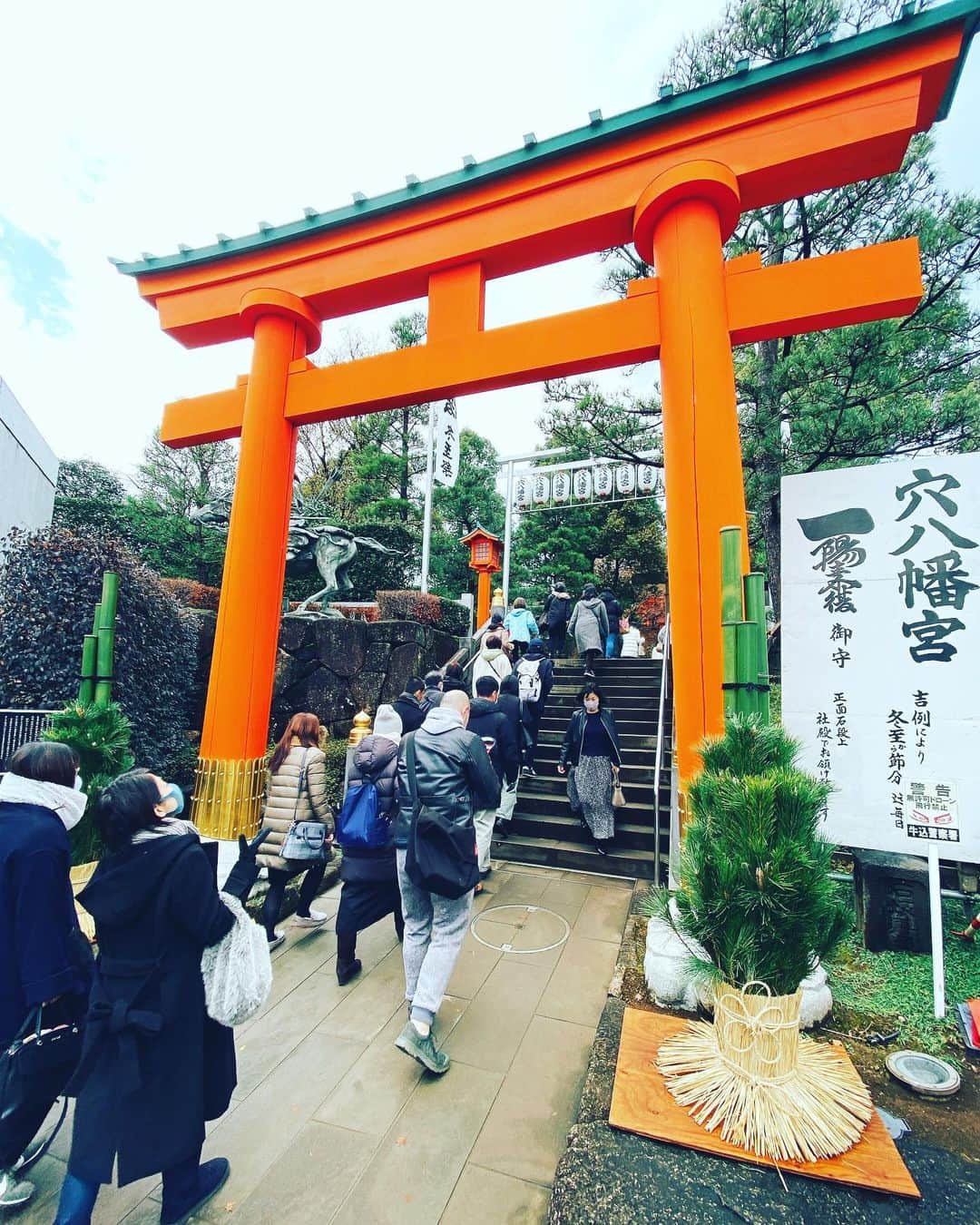 tokuのインスタグラム：「年末詣り」