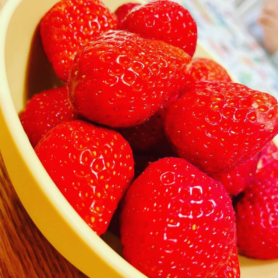 氷浦紫さんのインスタグラム写真 - (氷浦紫Instagram)「買い出しに行った時に 『いちごが食べたいよぉ』と息子に言われパパに買ってもらったいちごさん🍓 ご飯食べたら食べようねって昼間から言っていたのですごく嬉しそうでお写真撮るっていってパパのスマホを借りるてゆー。 直ぐに食べちゃっておかわりっていわれたけどもうないよ〜。  #strawberry#いちご大好き#yummy#fruit #2歳11ヶ月男の子 #おかわりって言われたけど #とちあいか」12月30日 18時55分 - yukalihiula