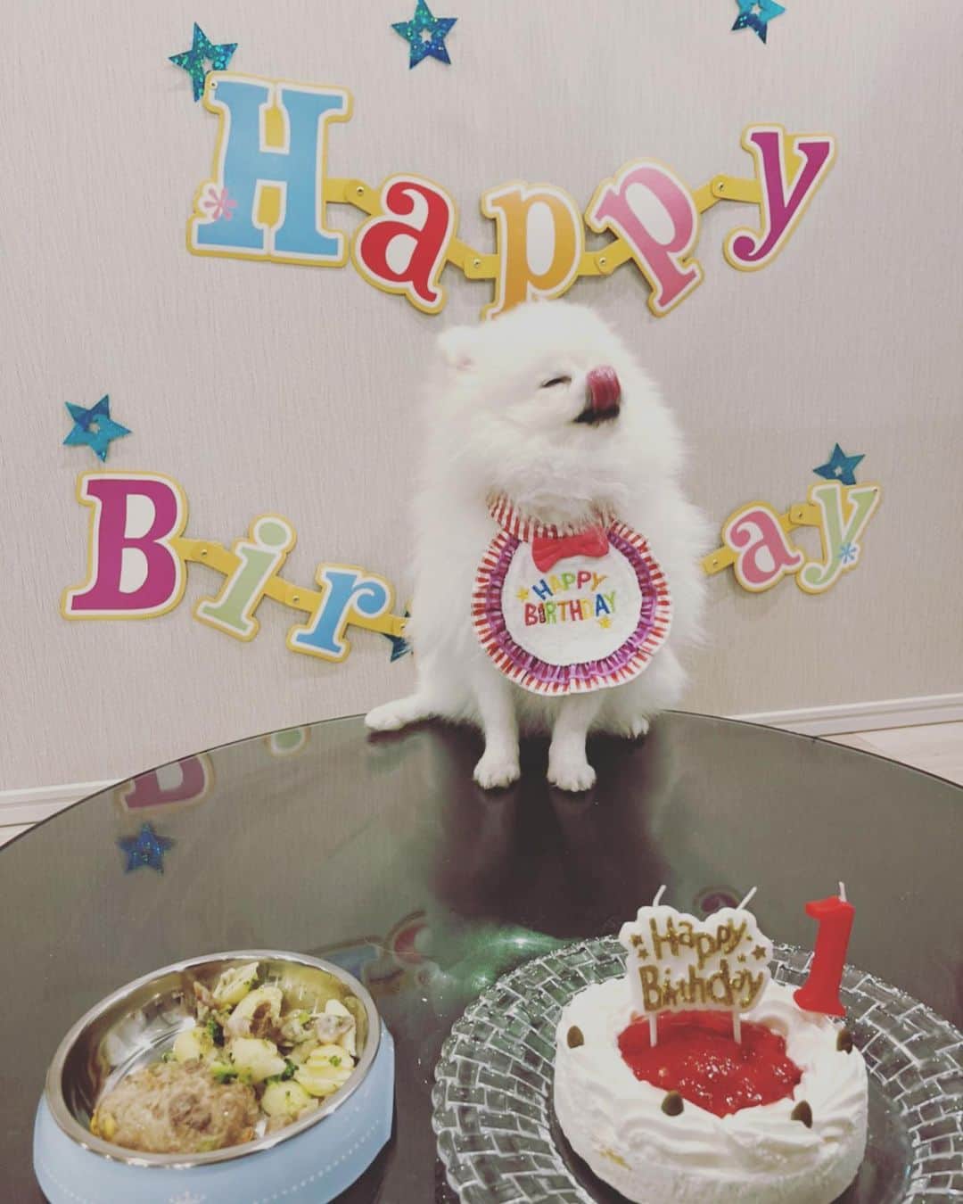 石川雄洋のインスタグラム：「🎉HappyBirthday🎉  とろろ1歳になったね！！ これからもよろしく🐶 * #とろろ #@tororotanuki1230 #石川雄洋 #お誕生日おめでとう #やらされてる感」