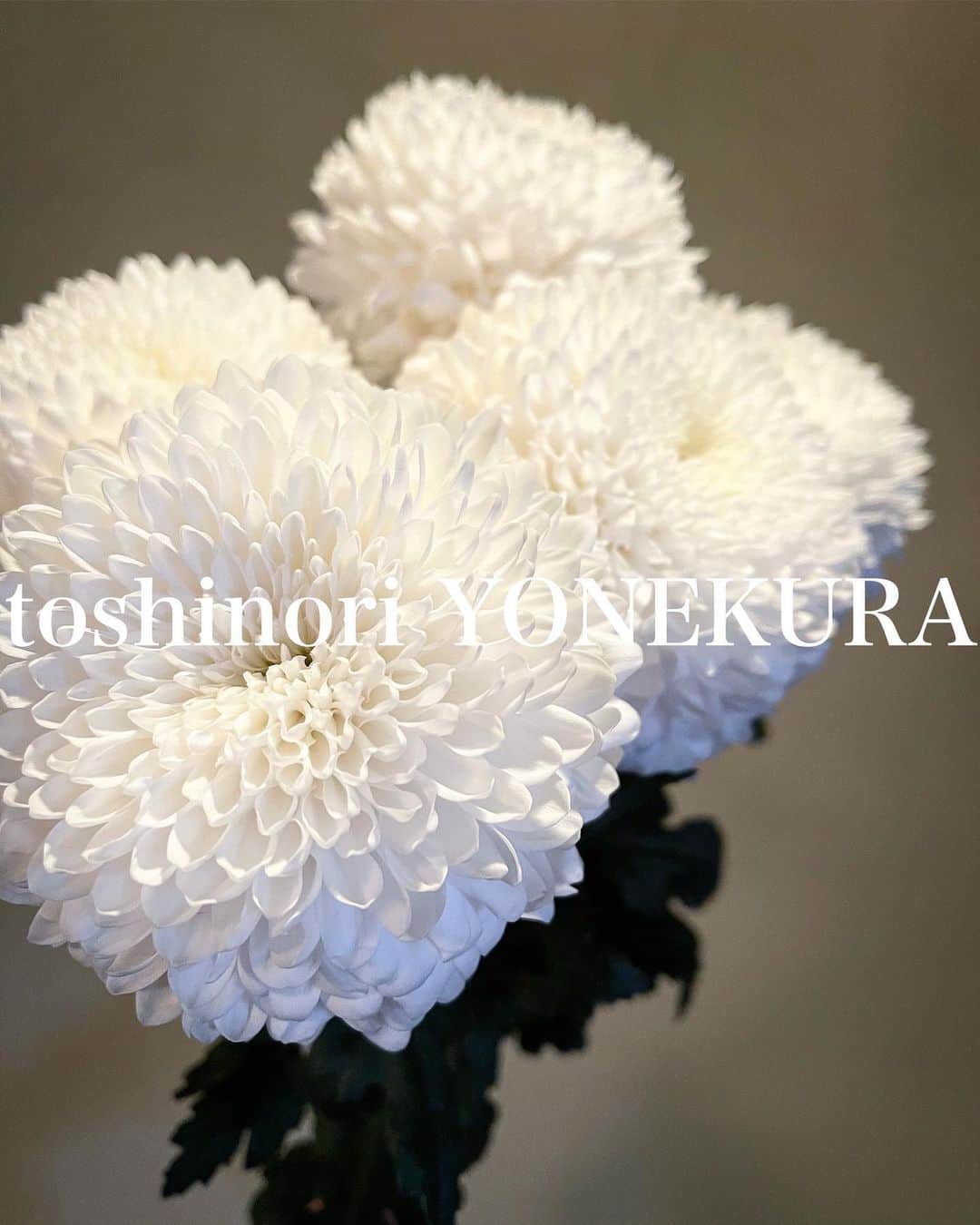 米倉利紀さんのインスタグラム写真 - (米倉利紀Instagram)「flowers for 2021 #男花 #花のある生活」12月30日 19時26分 - toshi_yonekura