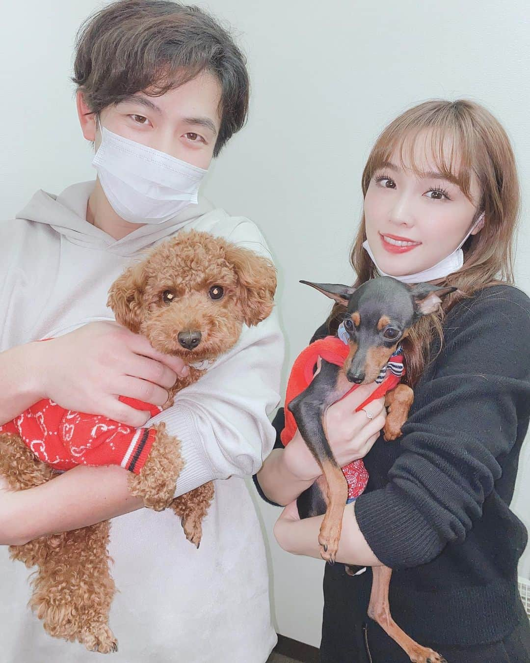 石田安奈さんのインスタグラム写真 - (石田安奈Instagram)「久しぶりの犬の整体🐶❤️ 今年最後に行ってきました🐶  ラッキーは 左右の骨盤の位置を矯正しました。 日頃の癖もあり、尻尾の位置が下がってくるので、骨盤の矯正だけ入れてあります。  リッチくんの場合は、まだ６ヶ月目のパピーなので背骨、お尻の矯正のみかけてもらいました❤️ 身体の芯は骨盤と背骨です。 矯正する事により、筋肉の位置も本来の位置に戻るみたい❤️ それで、筋肉の使い方を覚えてそのいい癖をつけていけば、自ずと強靭な身体を維持できるみたい❤️ 動物も人間同様、筋肉、骨、神経があるわけだから本当ペットには長生きして欲しいので定期的に見てもらってます😊 喋れないペットの不調を少しでも感じ取れるように🥺 かなりの親バカですが大事な命ですから🐶🖤  #犬 #犬のいる暮らし  #いぬすたぐらむ ＃痙攣　＃整体　＃犬の整体　#形成不正　#老犬　＃呼吸器系 #免疫力アップ  #マッサージ　#ヘルニア　#整形不正　＃ミニピン　#ミニチュアピンシャー　#トイプードル #といぷーどる部  #トイプードル男の子」12月30日 19時29分 - annaishida_0527