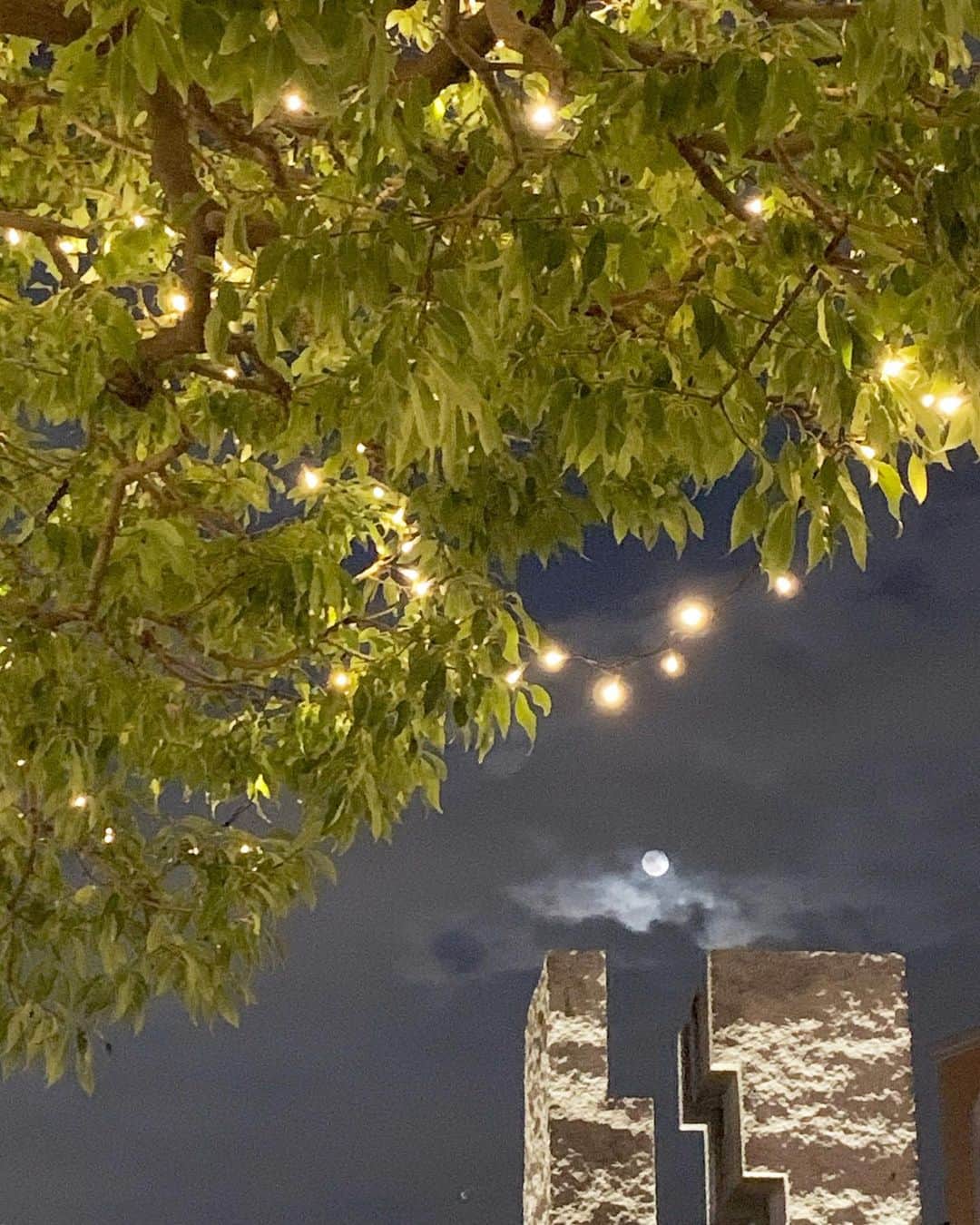 野地優奈のグルメインスタ