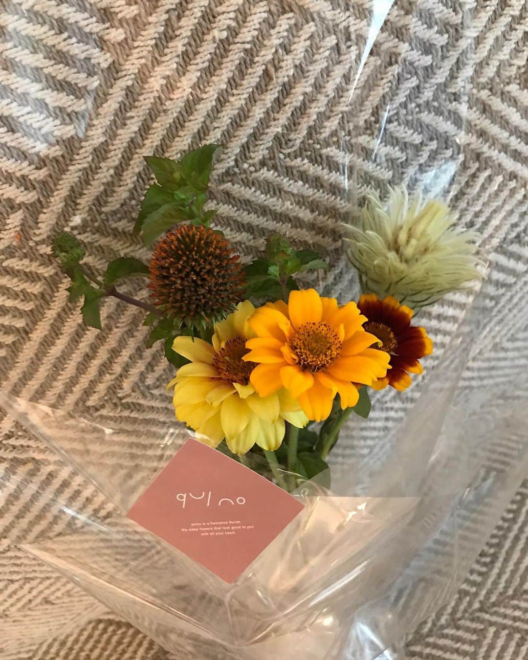 木野園子のインスタグラム：「qui no @quinoflowerkinosonoko」
