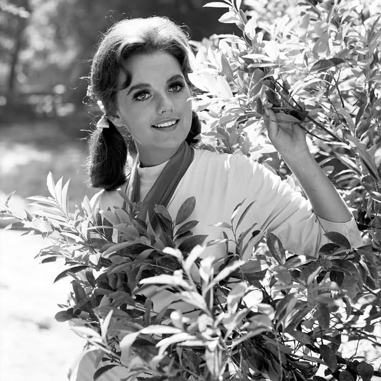 ズザンナ・シャコフスキーのインスタグラム：「I’m so sad to find out that the legendary Dawn Wells has passed away from Covid 19. She was always breathtakingly gorgeous , funny, fun to be with and totally original. It was my great honor to work with her on stage. #lovelossandwhatiwore」