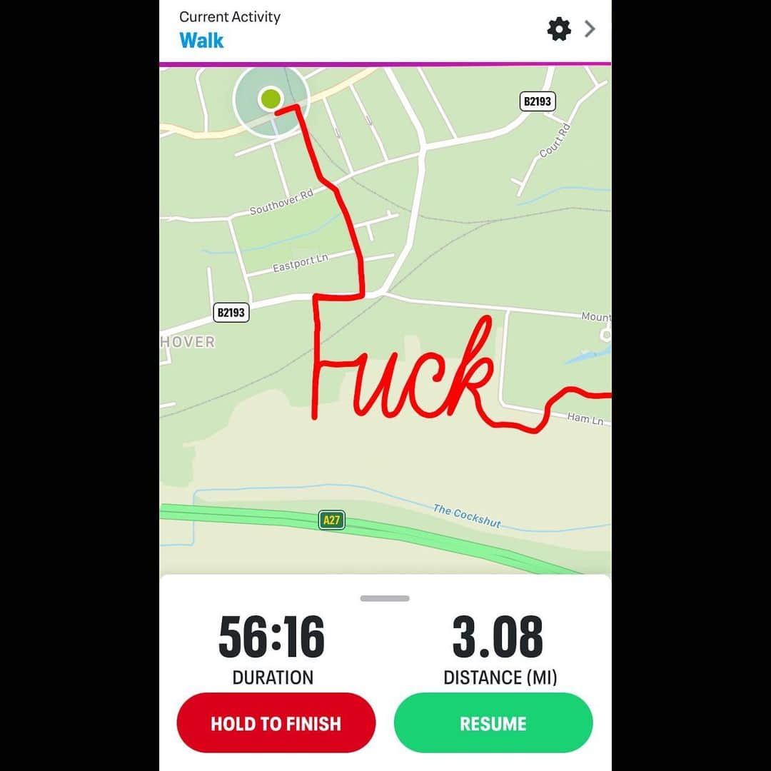 Seb Lesterのインスタグラム：「Went for a walk.」