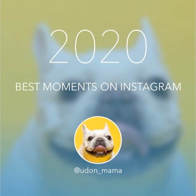 Udon うどんのインスタグラム