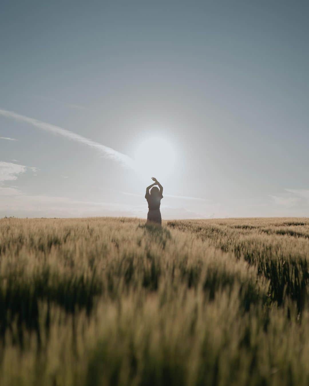 Putri Anindyaさんのインスタグラム写真 - (Putri AnindyaInstagram)「a silhouette of mine, as a dancer in the sun. Sometimes her heart trapped in time, while her mind chose to wander around //  Taken summer last year by @capra311 . Pose inspired by the instagram legend, @brittneypanda . For us who are in this app since 2011 sure know about her magic ✨  #dothebrittneypanda」12月30日 21時32分 - puanindya