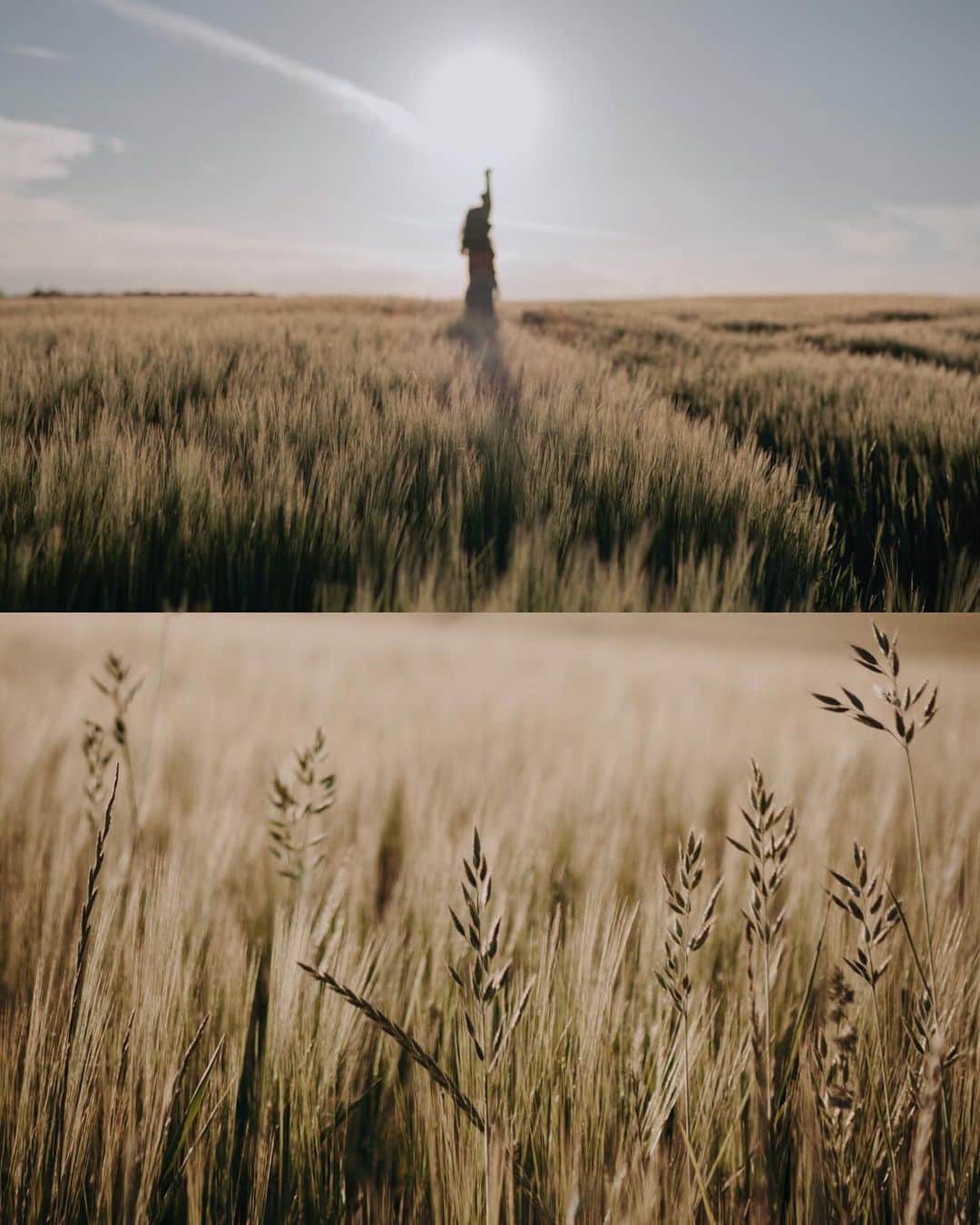 Putri Anindyaさんのインスタグラム写真 - (Putri AnindyaInstagram)「a silhouette of mine, as a dancer in the sun. Sometimes her heart trapped in time, while her mind chose to wander around //  Taken summer last year by @capra311 . Pose inspired by the instagram legend, @brittneypanda . For us who are in this app since 2011 sure know about her magic ✨  #dothebrittneypanda」12月30日 21時32分 - puanindya