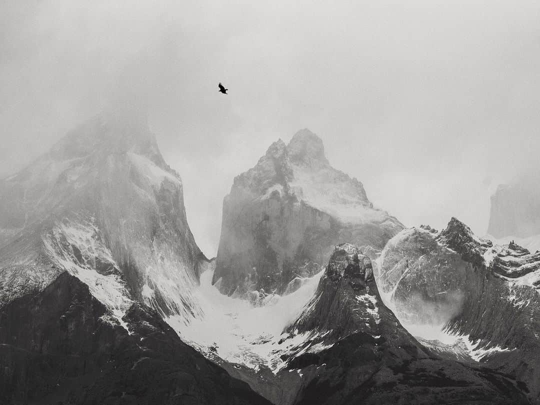 C E R E A Lのインスタグラム：「Patagonia occupies the tip of the Americas. It is separated from the Pampas to the north by the curved line of the Huincul Fault, and is washed to the east by the Atlantic, and to the west by the chilly waters of the Humboldt Current. Its high, windswept plateaus stretch southwards towards the ice fields and the islands of Tierra del Fuego. It is divided between Chile and Argentina into two unequal halves by the third longest land border on the planet — only the frontiers between the USA and Canada, and Russia and Kazakhstan are longer.  From Cereal Vol.20. Read the story via the link in profile.   📷: @richardgaston 🖋: @aslanimal」