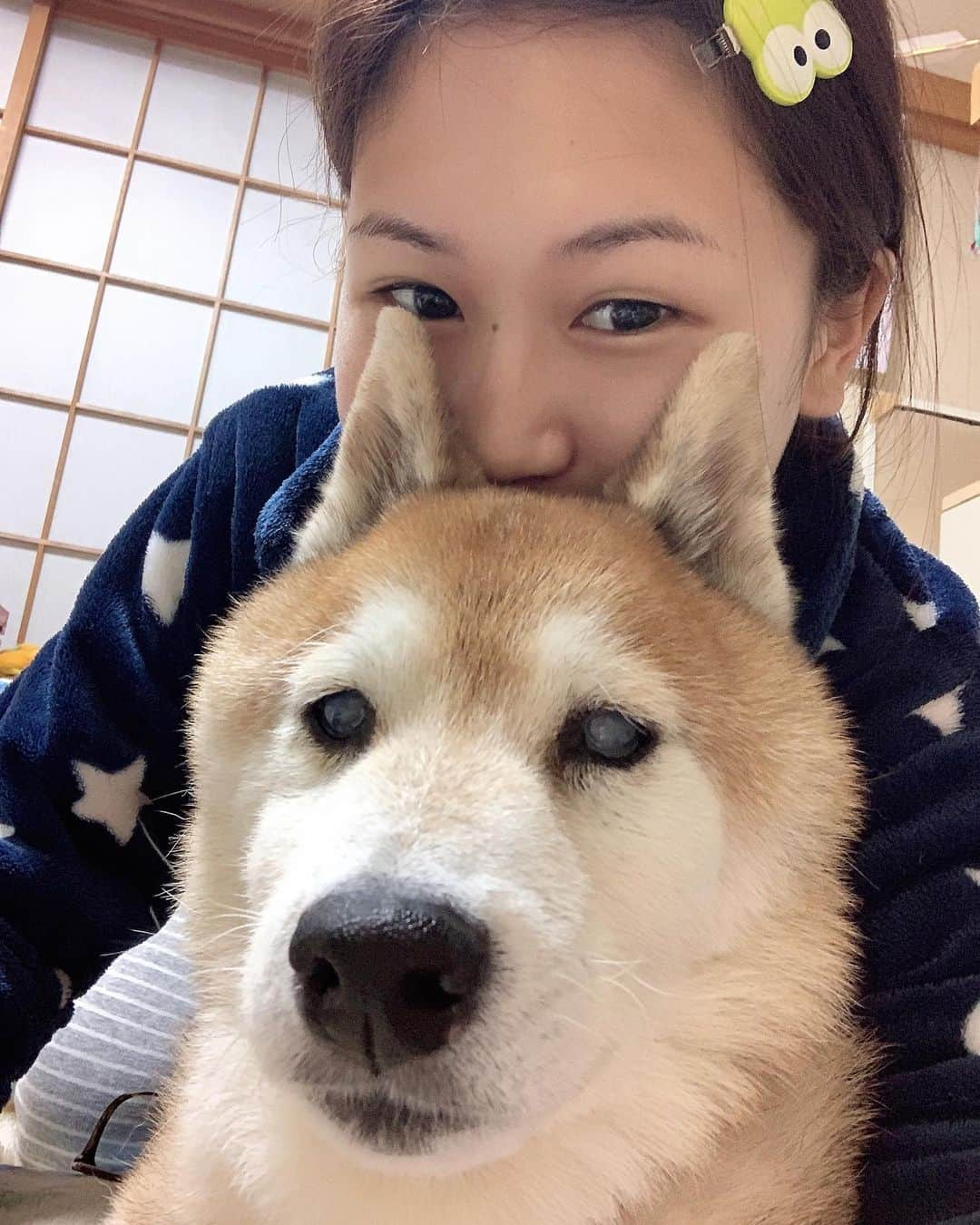 大関れいかのインスタグラム：「. 今年一年早かったあ〜 この前のガッツとの2ショット🐶 みんな沢山沢山ありがとう！ みんなのおかげで私があって、 頑張れて、生き甲斐で。 みんなのおかげで生きてて良かったと 沢山思えるっ！！☺️ 沢山の人に支えられて今があるって 改めて思うなぁ感謝すぎ。 来年も頑張ろ！たのしも！ 気楽に適当にいきましょや〜💁🏻‍♀️ 来年もよろしくだぜっ」