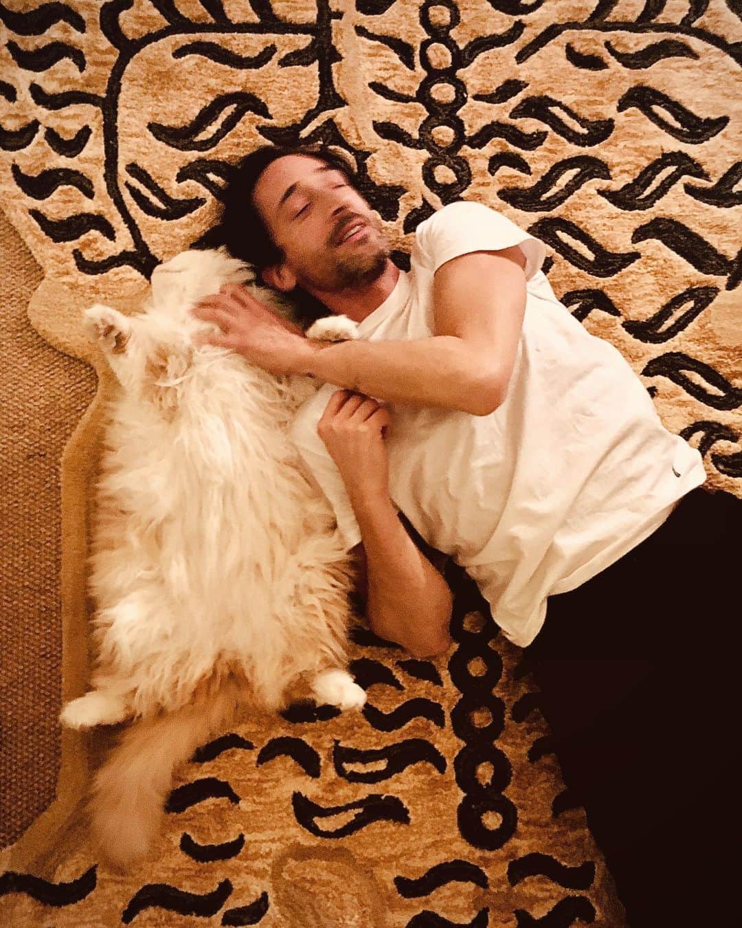 エイドリアン・ブロディのインスタグラム：「🦁Good morning #happy #cats」