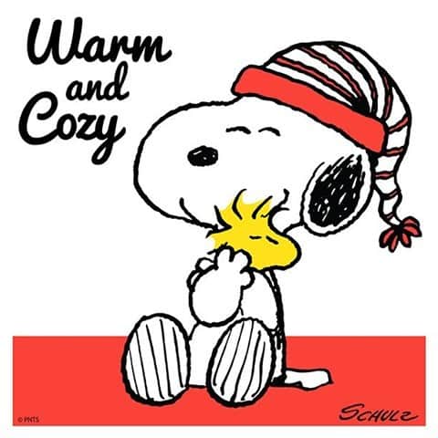 スヌーピーのインスタグラム：「Keeping warm and cozy all day long.」
