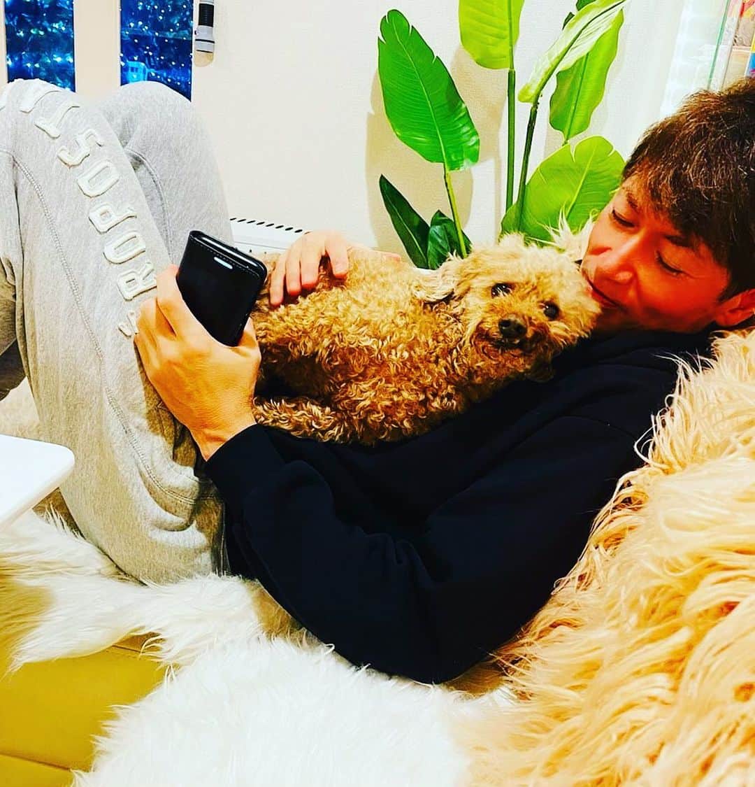 マイケル富岡のインスタグラム：「世界一の甘えん坊モコ♡どんな時も抱っこ抱っこ…なので 今年も大掃除 無理そうです…ゴロゴロしましょうか♡ #溺愛 #家族 #息子 #ベイビー #フワフワ #モコモコ #フワモコ #マイケル富岡 #俳優 #タレント #ハーフ #愛犬家 #愛犬 #fluffy #actor #actorslife #shooting #mybaby #mylove #family #love #home #youaremyeverything #generalamericanhome」