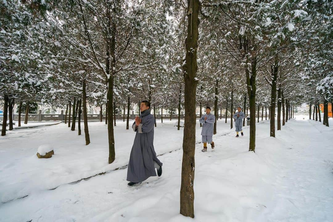 Michael Yamashitaさんのインスタグラム写真 - (Michael YamashitaInstagram)「A Rare snowfall at the Shaolin Temple, in Dengfeng, Henan, birthplace of Kungfu, does not stop the martial monks from practicing their art. The monks are here to study Buddhism and practice Kungfu. There are some 60 martial arts academies to take care of the 50,000 Kungfu enthusiasts who visit here from around the world to learn from the masters. This UNESCO World Heritage site is also the cradle of Chinese Zen (Chan) Buddhism.   #shaolin #kungfu #shaolintemple #shaolinkungfu #dengfeng #henan #worldheritage」12月30日 23時53分 - yamashitaphoto