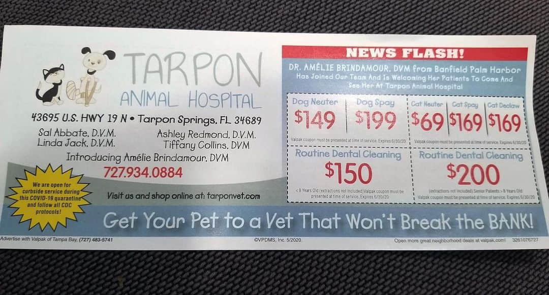City the Kittyさんのインスタグラム写真 - (City the KittyInstagram)「A supporter sent us this declawing coupon that this American Animal Hospital Association (AAHA) animal hospital sent out in a mailer earlier this year to the public.🙀😾🐈  AAHA recently sicced their lawyers on us and forced us to take down a lot of their declawing info from our stories. 😾 They are trying to scare, intimidate, and bully us and don't like that we are shining light on the fact that they allow declawing in their "Standard of Excellence" animal hospitals. 😾😾😾😾 . THINK ABOUT IT.  Instead of using their money and time to come up with a plan on how to stop allowing their accredited hospitals to declaw cat$, AAHA IS COMING AFTER a CAT and his mom who are working every single day to try to END this barbaric cat cruelty! #WTF 😿 🙀🐾🐾🐾🐾 We just need around 100 people to donate $2 to our legal defense fundraiser, City the Kitty vs AAHA to fight this injustice.  Here's our fundraiser. https://www.facebook.com/donate/671686130209508/ You can also donate at http://www.citythekitty.org and put City vs AAHA in the subject line.  IF AAHA WINS, THEN ALL THE INNOCENT CATS LOSE!😿😿💔  Thank you for your support. Always take the high road and educate. #aahaaccredited #AAHA #declaw #declawing is #animalcruelty #veterinarian #RightOverWrong stopdeclawing #VoiceForTheVoiceless #1stamendment」12月31日 4時29分 - citythekitty