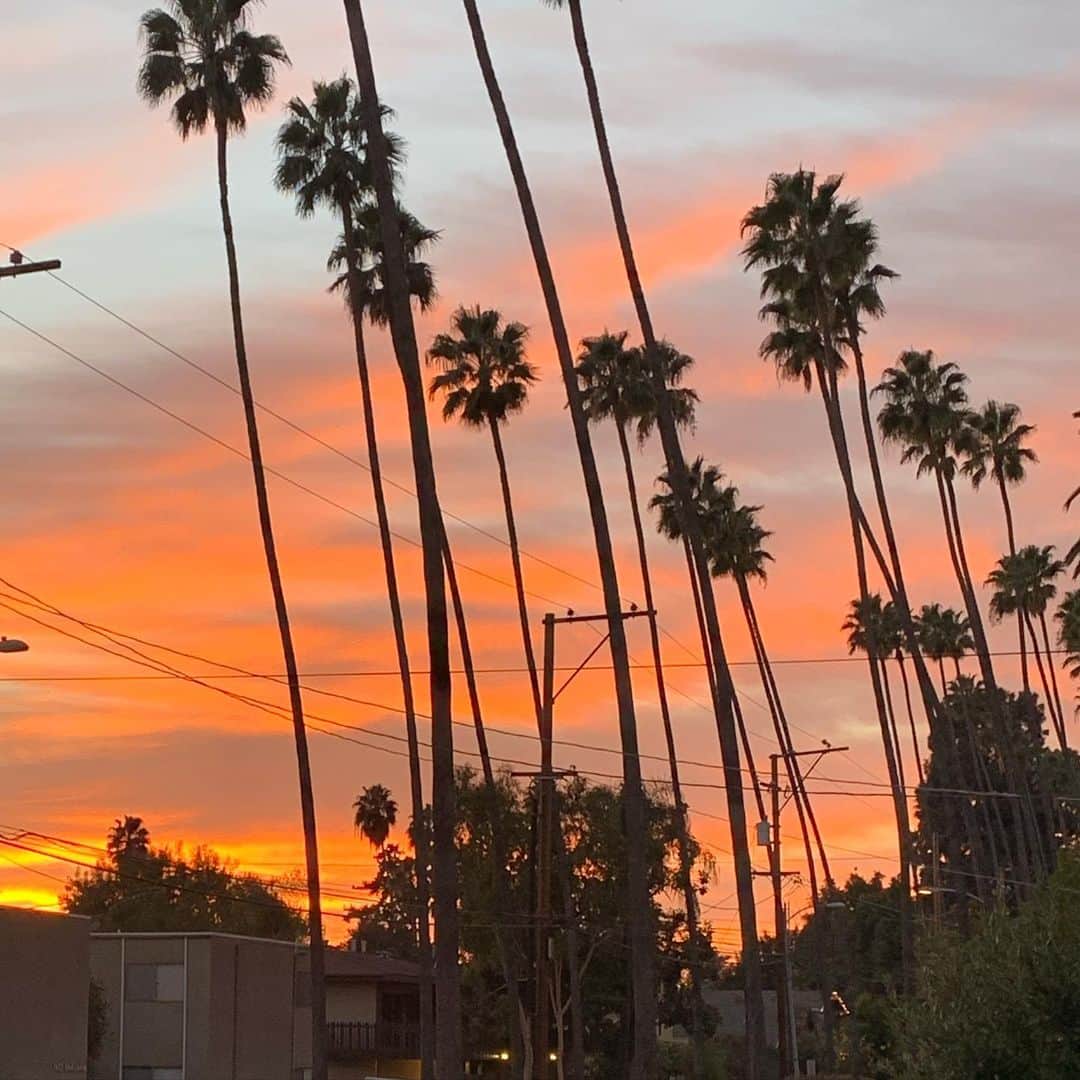 レスリー・フェラのインスタグラム：「Ah, California. From Sunsets to magical evenings — you rarely disappoint.  . . . #californiashelterinplace #californiadreaming #californiagirl #californiabornandraised #californialiving」