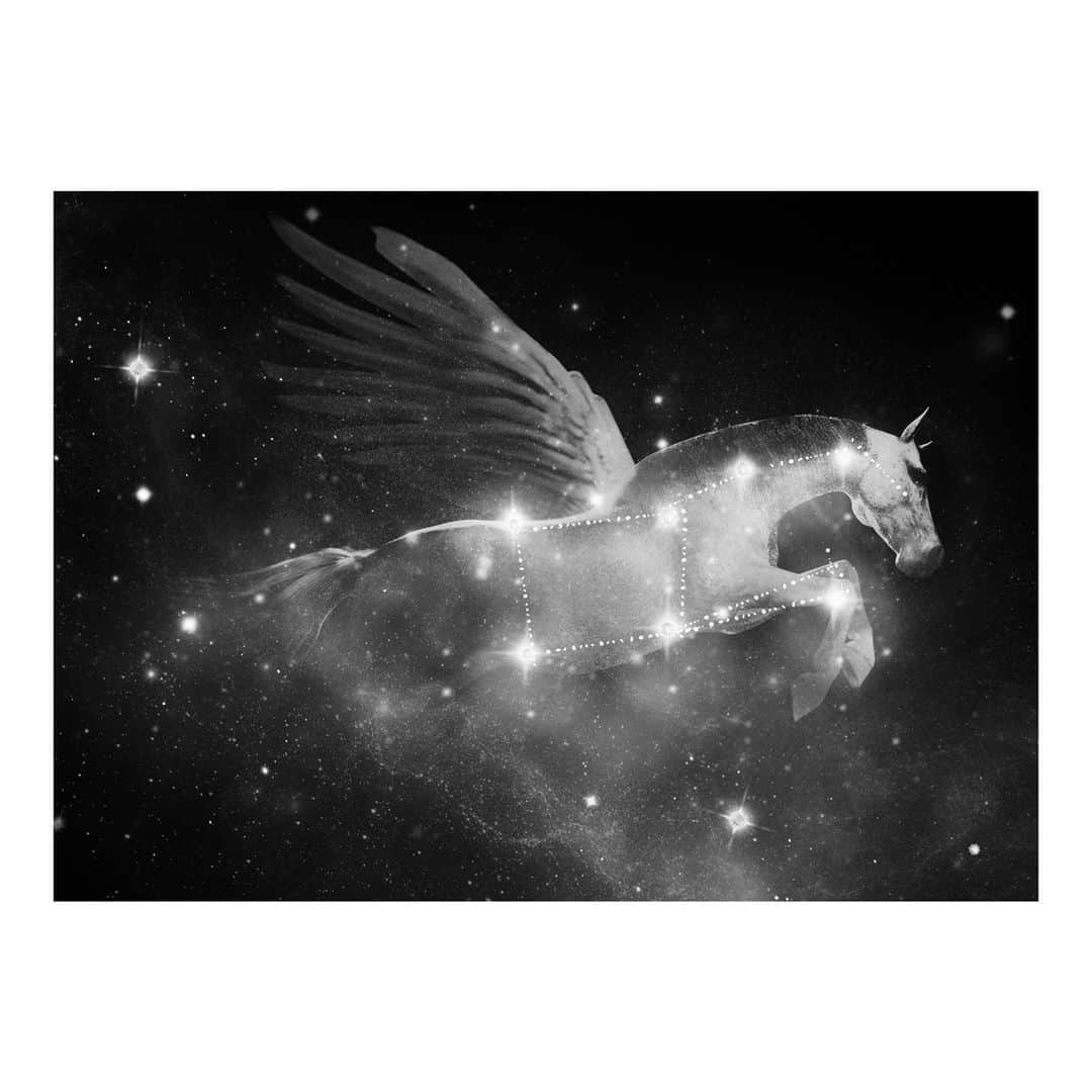 のインスタグラム：「Pegasus shows us the way. Named after the mythical winged horse, this constellation has guided travelers for centuries. #DavidYurman」